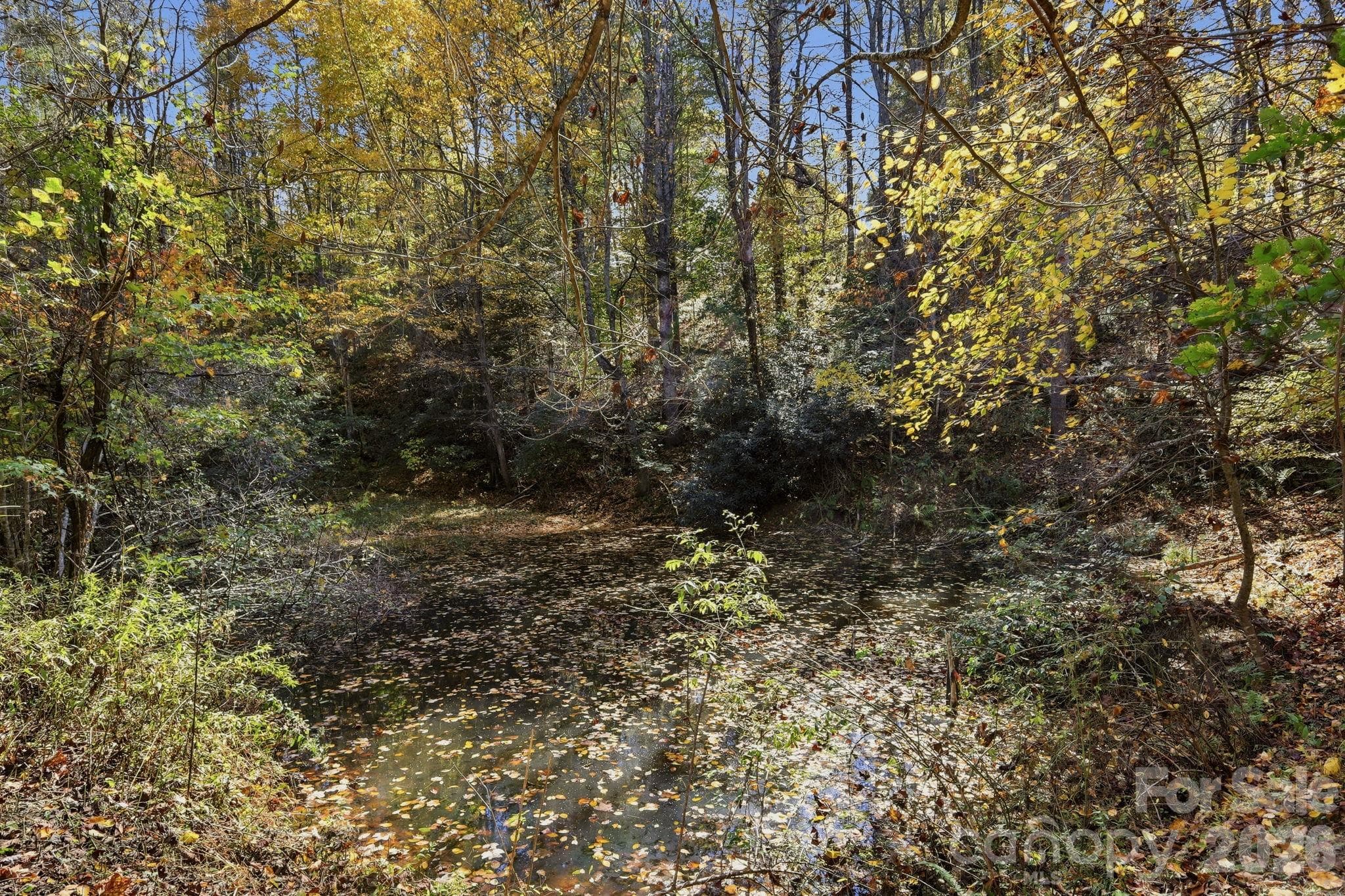 Private Pond below Home - 610 Alpine Way, Todd