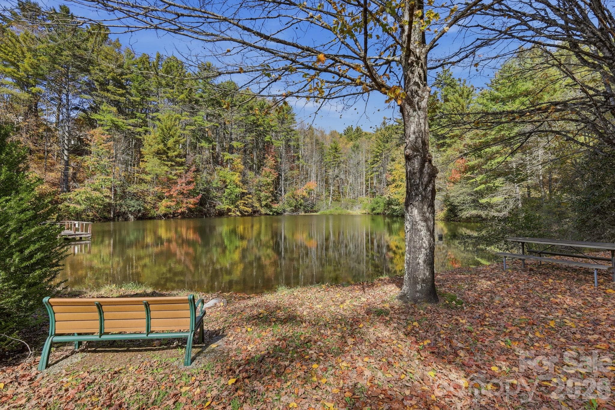 Community Pond - 610 Alpine Way, Todd