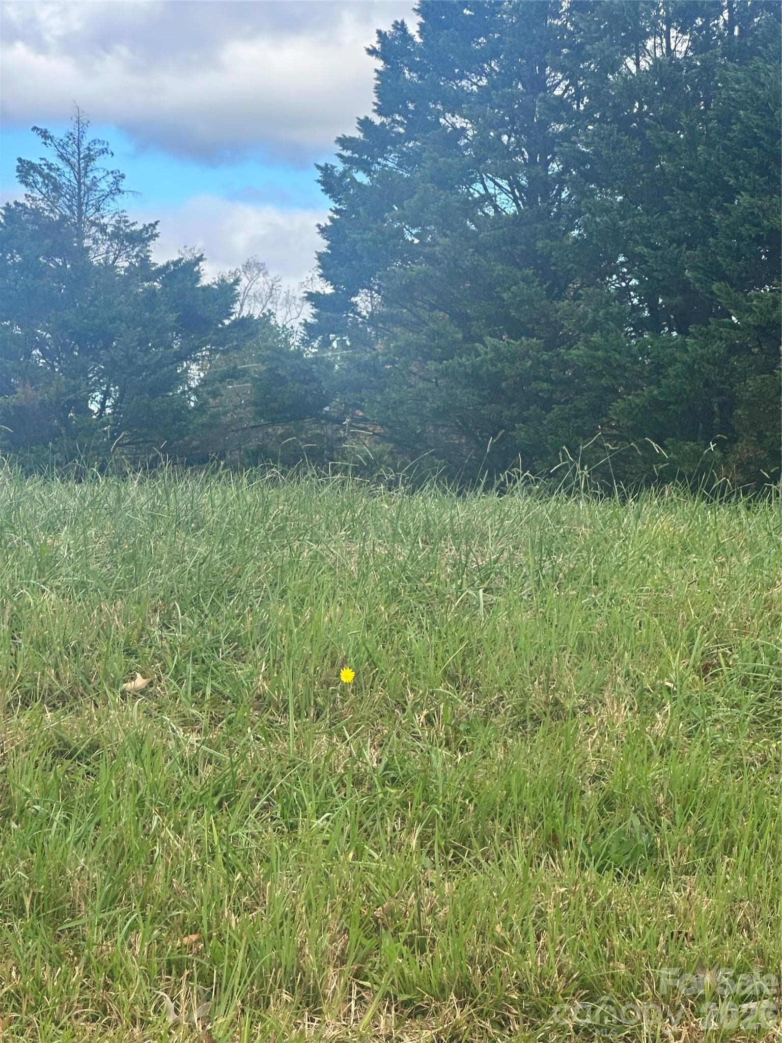 Lot 107 Parson Lane
