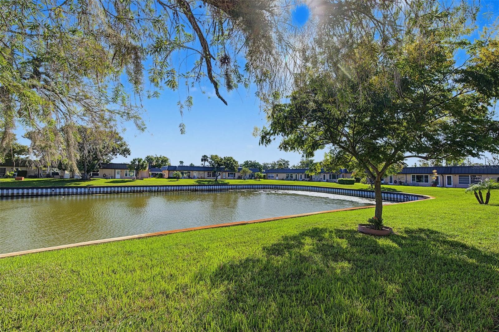 Rear Views - 4364 SUMMERSUN DR, NEW PORT RICHEY