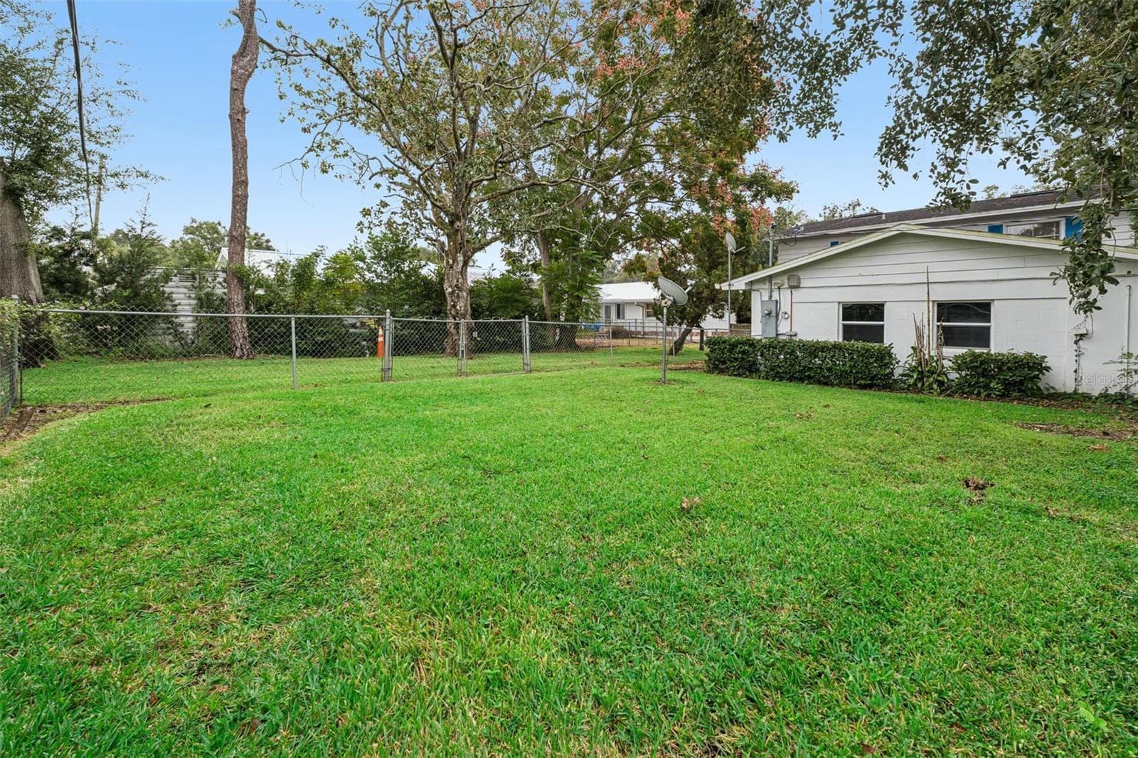 Private Yard - 803 HILLSIDE AVE, LAKE WALES