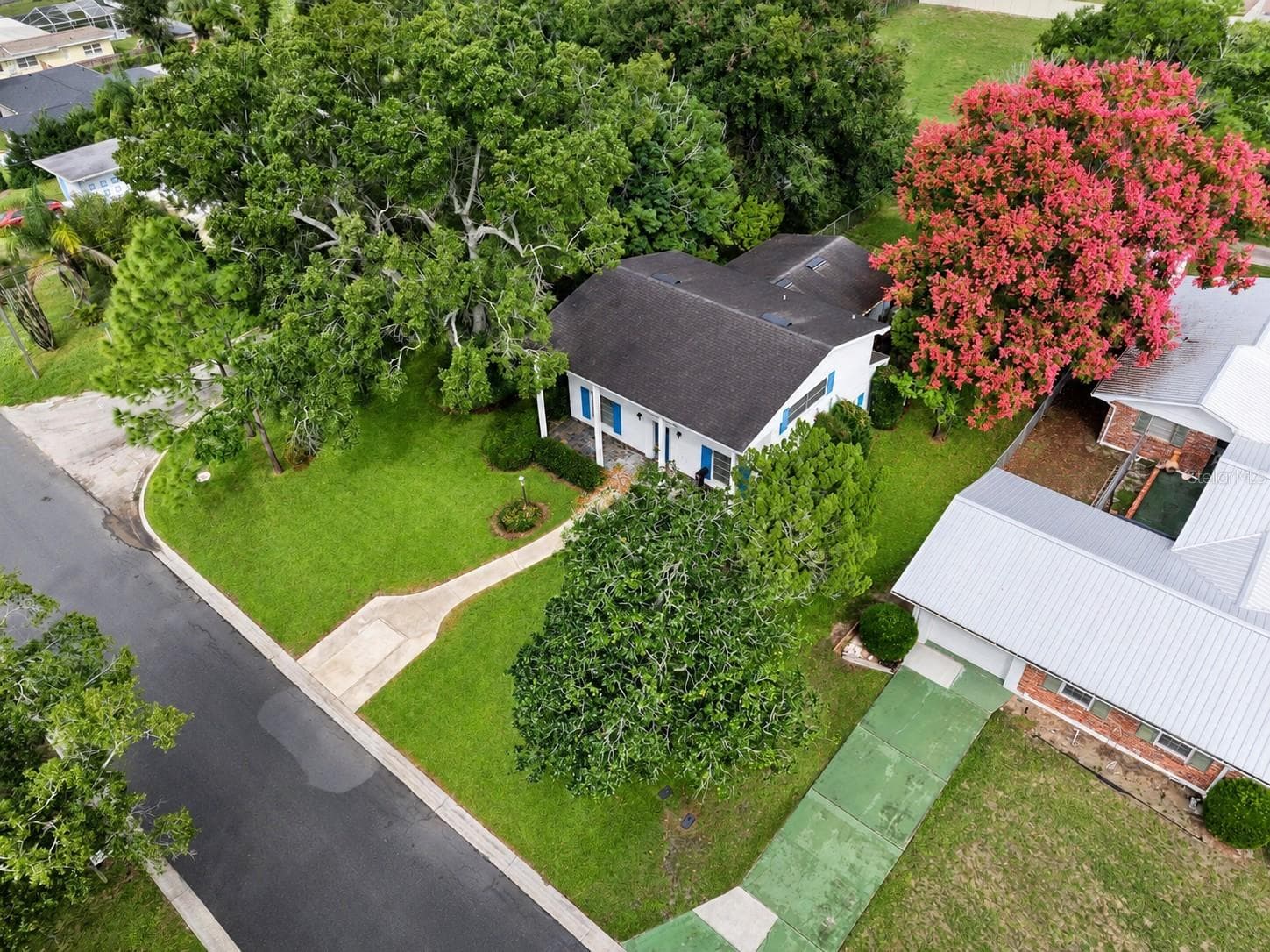 Mature Trees - 803 HILLSIDE AVE, LAKE WALES
