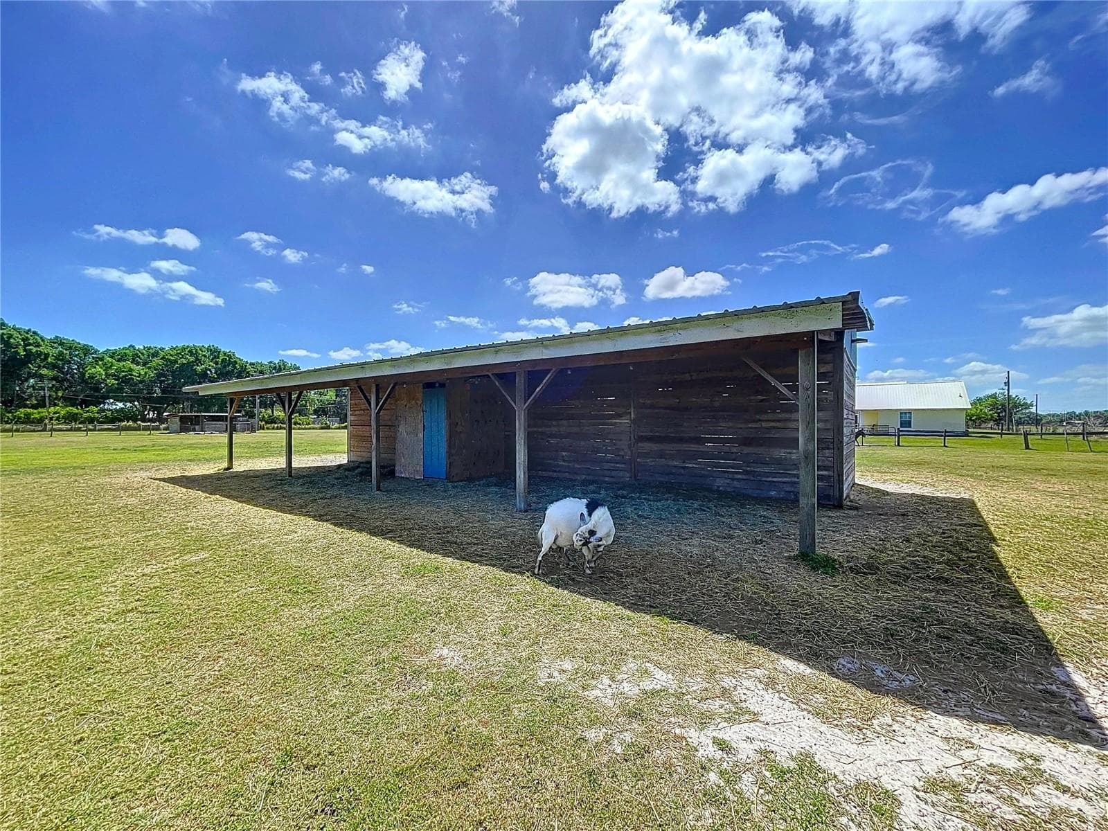 Single Family Residence at 3108 TOM MATTHEWS RD, LAKELAND, photo 11 of 16