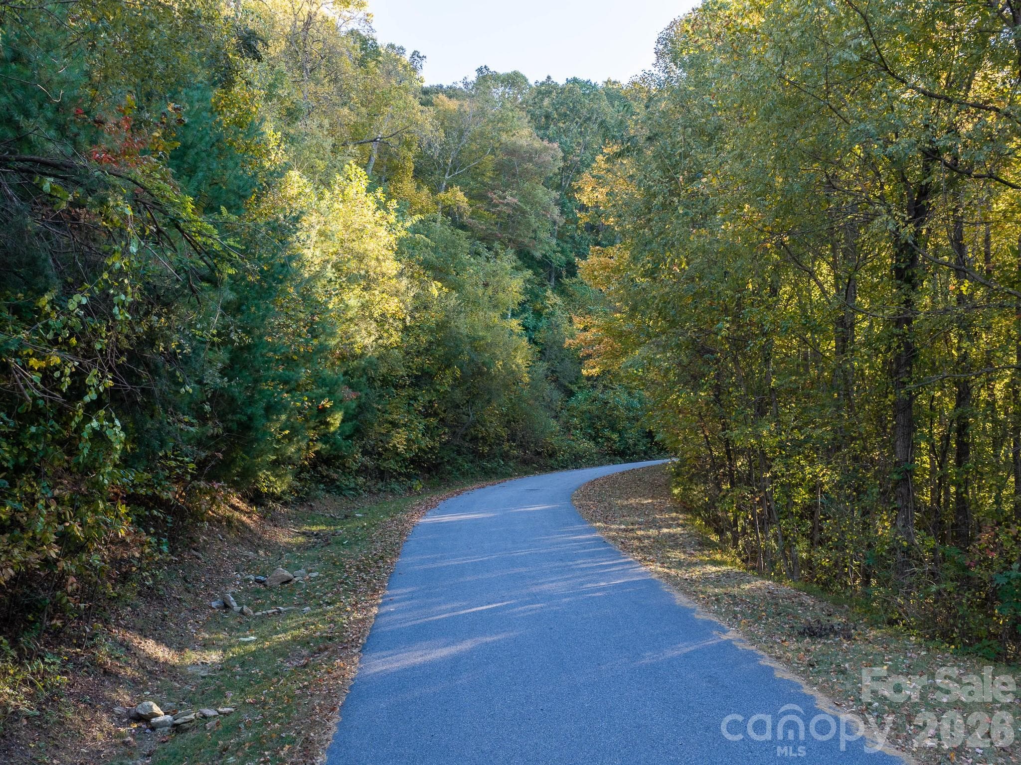 Lot at 55 Bartrams Walk Drive, Asheville, photo 5 of 33