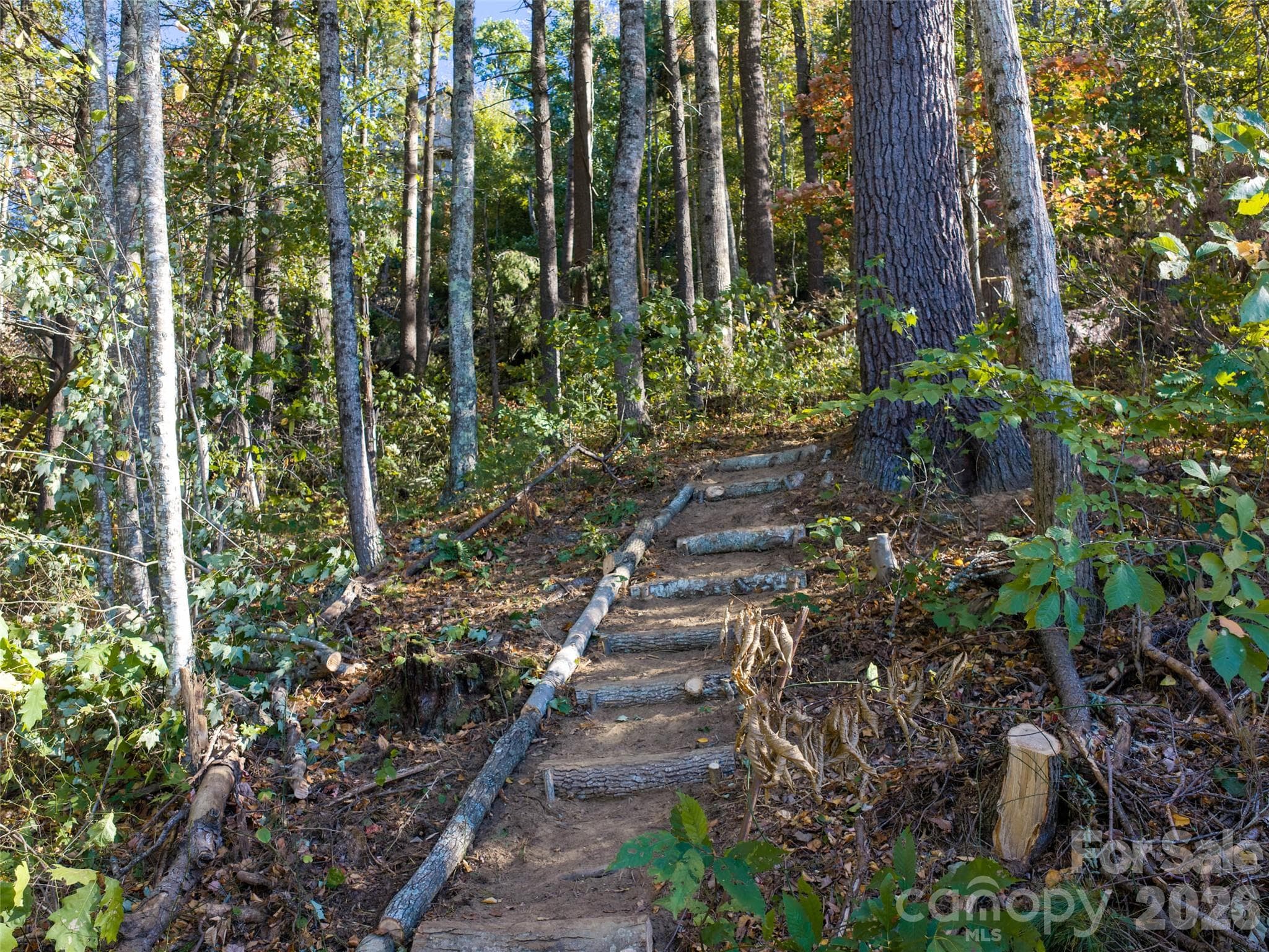 Lot at 55 Bartrams Walk Drive, Asheville, photo 6 of 33