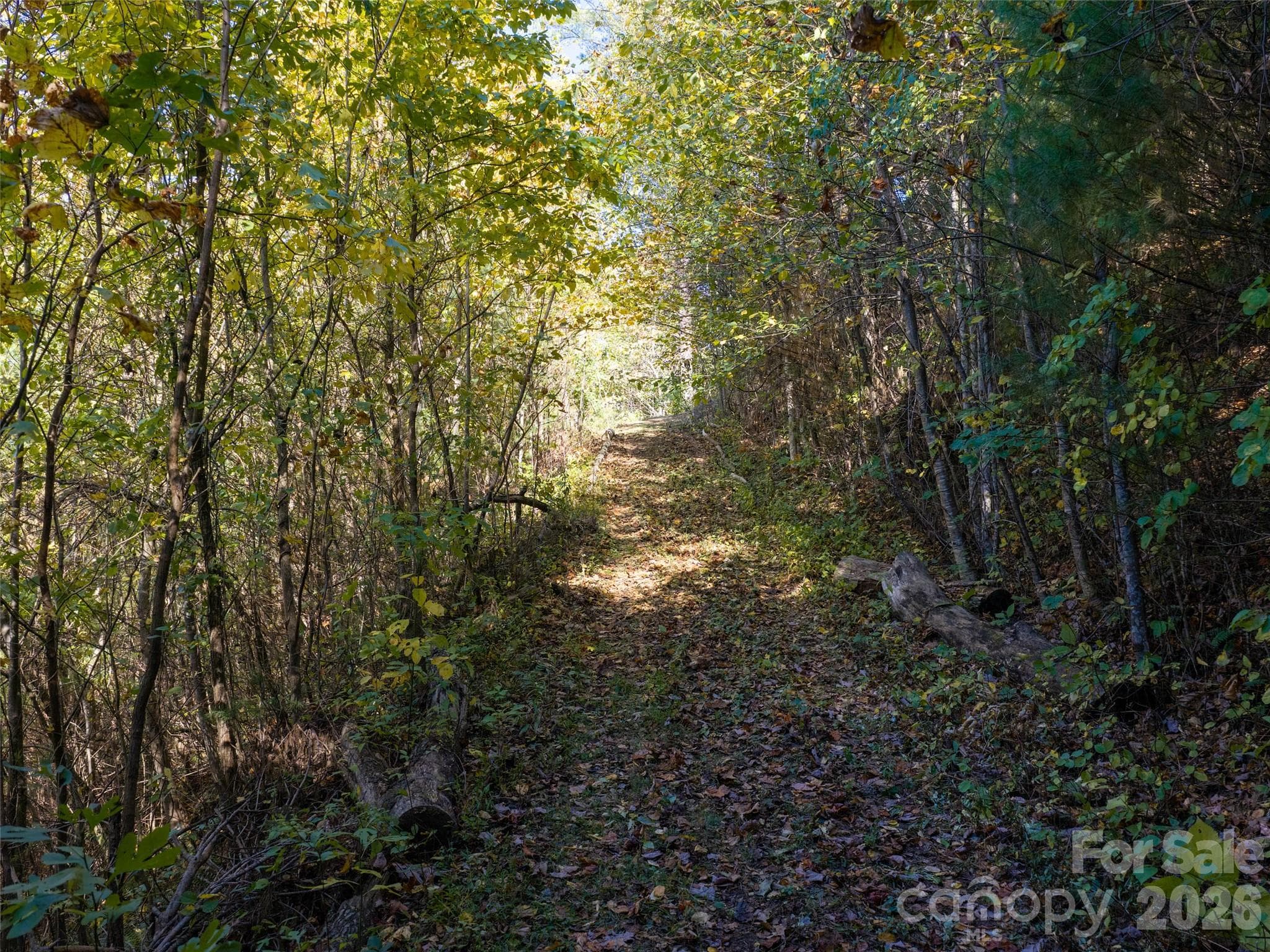 Lot at 55 Bartrams Walk Drive, Asheville, photo 8 of 33