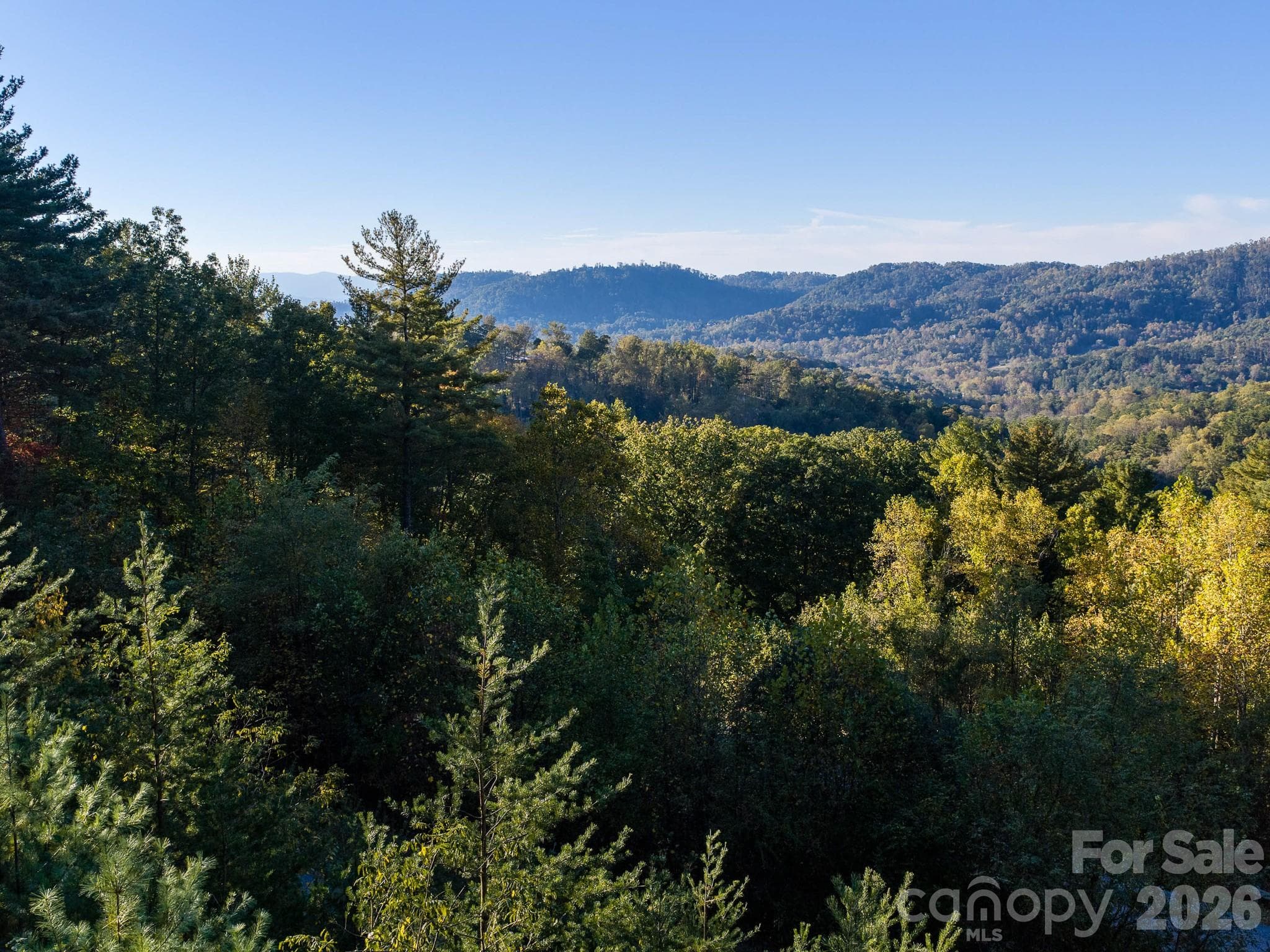 Lot at 55 Bartrams Walk Drive, Asheville, photo 9 of 33