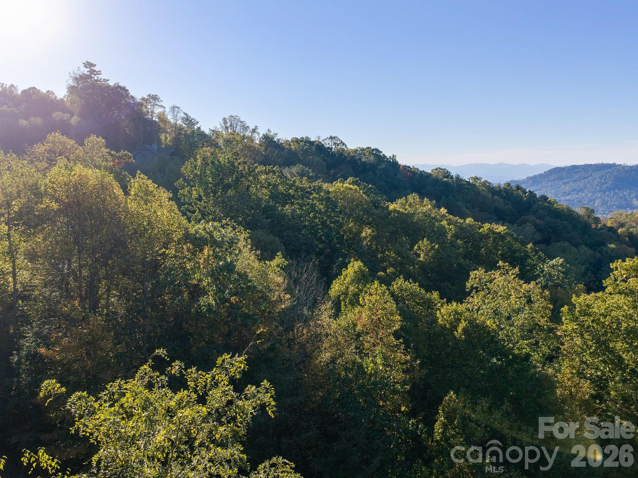 Lot at 55 Bartrams Walk Drive, Asheville, photo 11 of 33