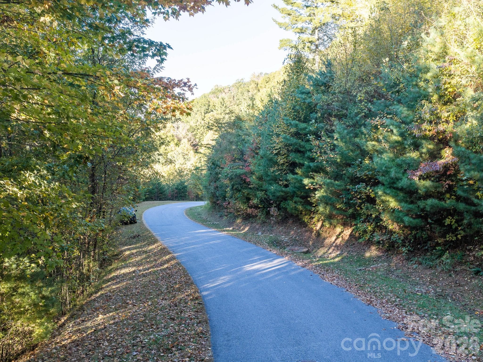 Lot at 55 Bartrams Walk Drive, Asheville, photo 14 of 33