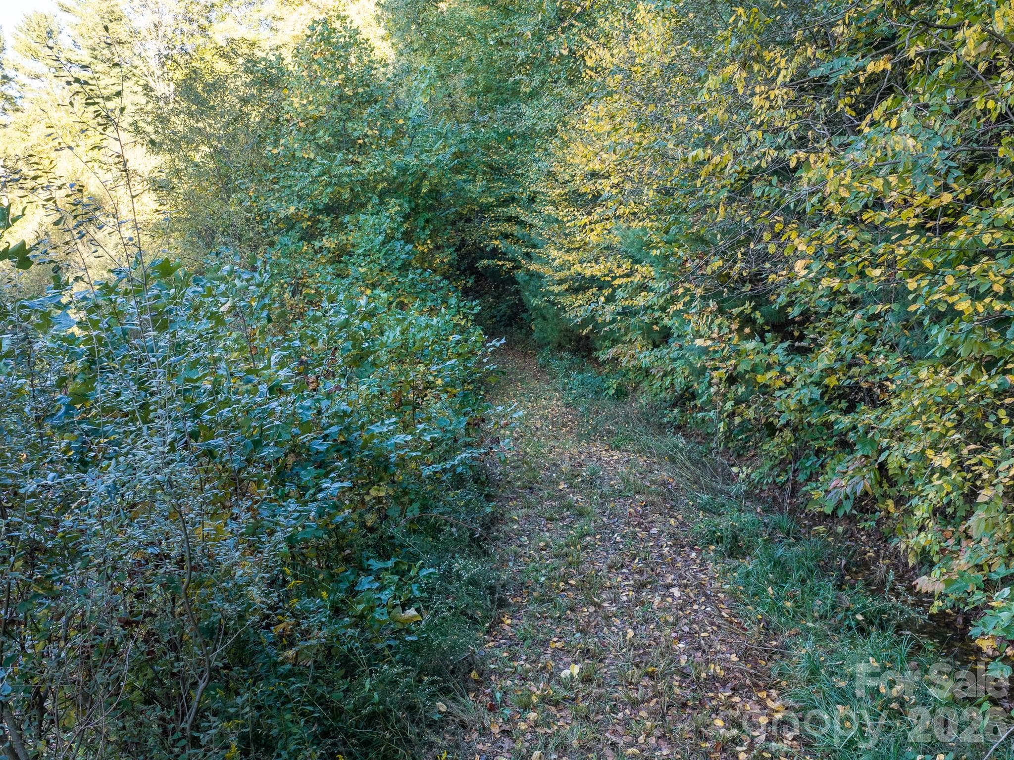 Lot at 55 Bartrams Walk Drive, Asheville, photo 16 of 33