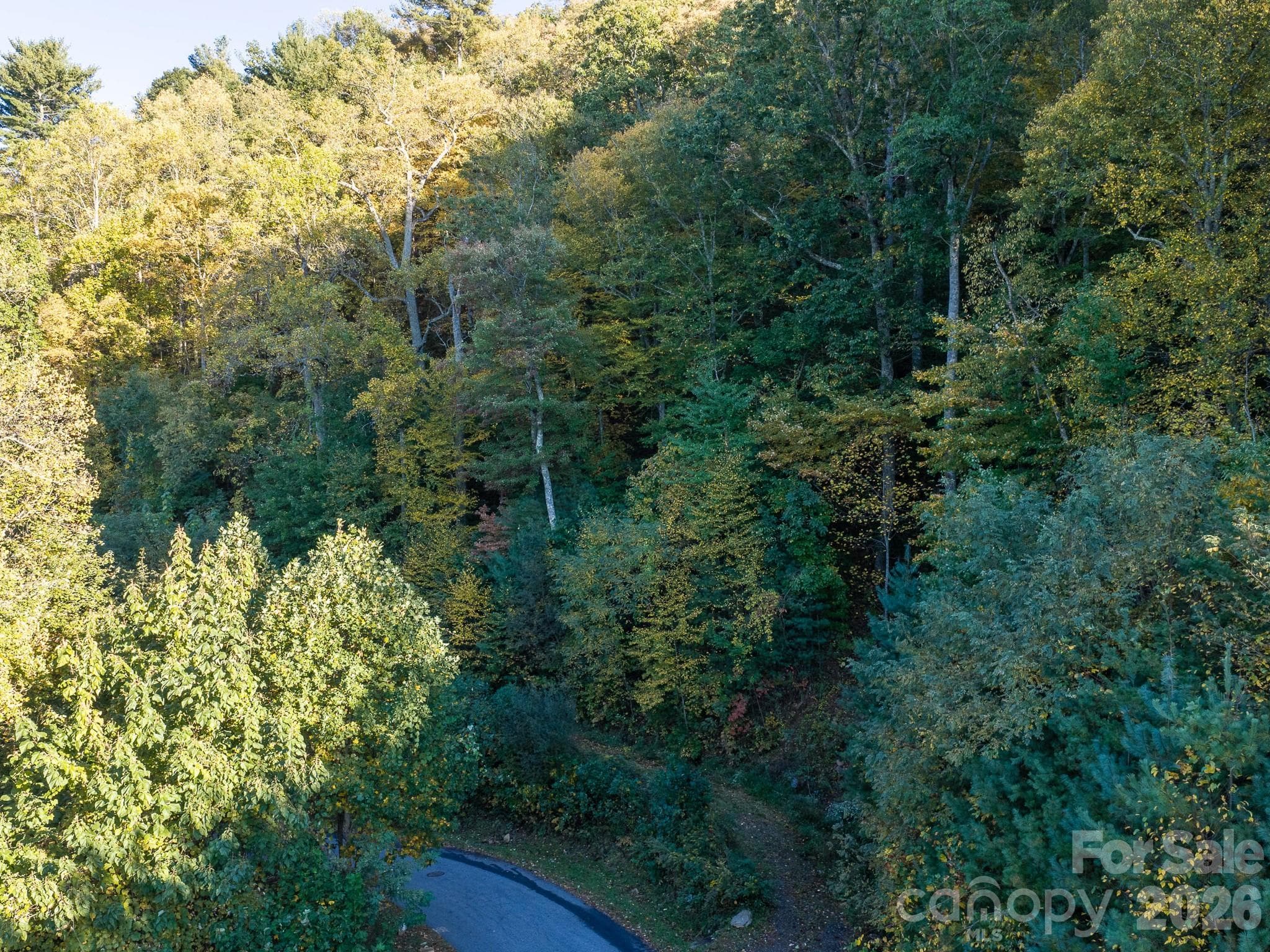 Lot at 55 Bartrams Walk Drive, Asheville, photo 17 of 33