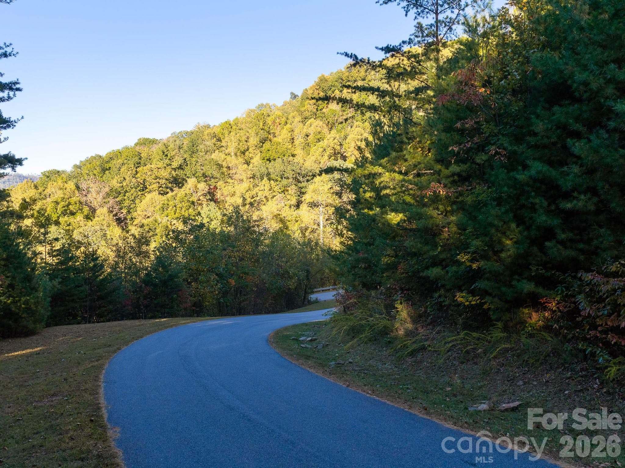 Lot at 55 Bartrams Walk Drive, Asheville, photo 24 of 33