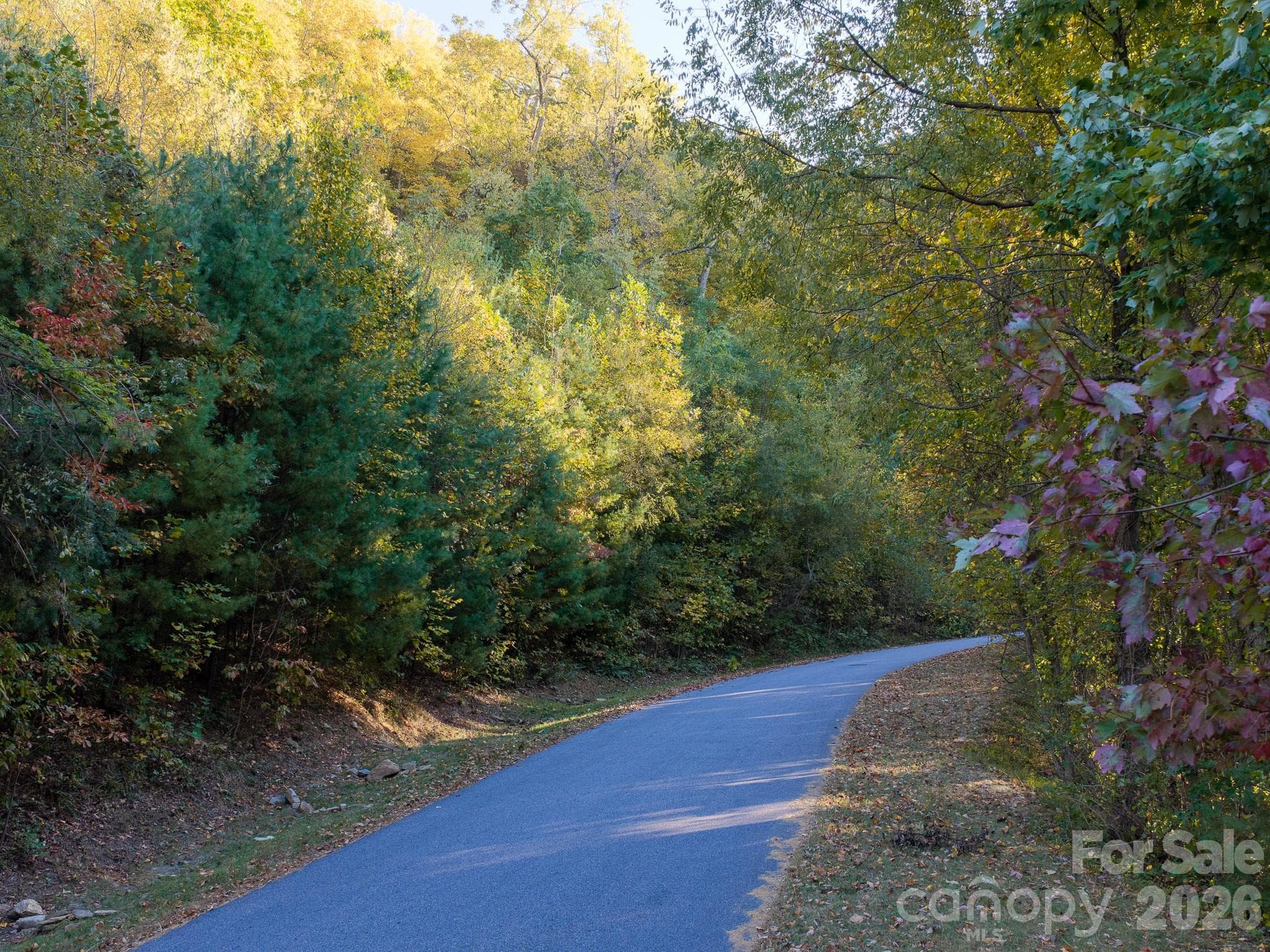 Lot at 55 Bartrams Walk Drive, Asheville, photo 25 of 33
