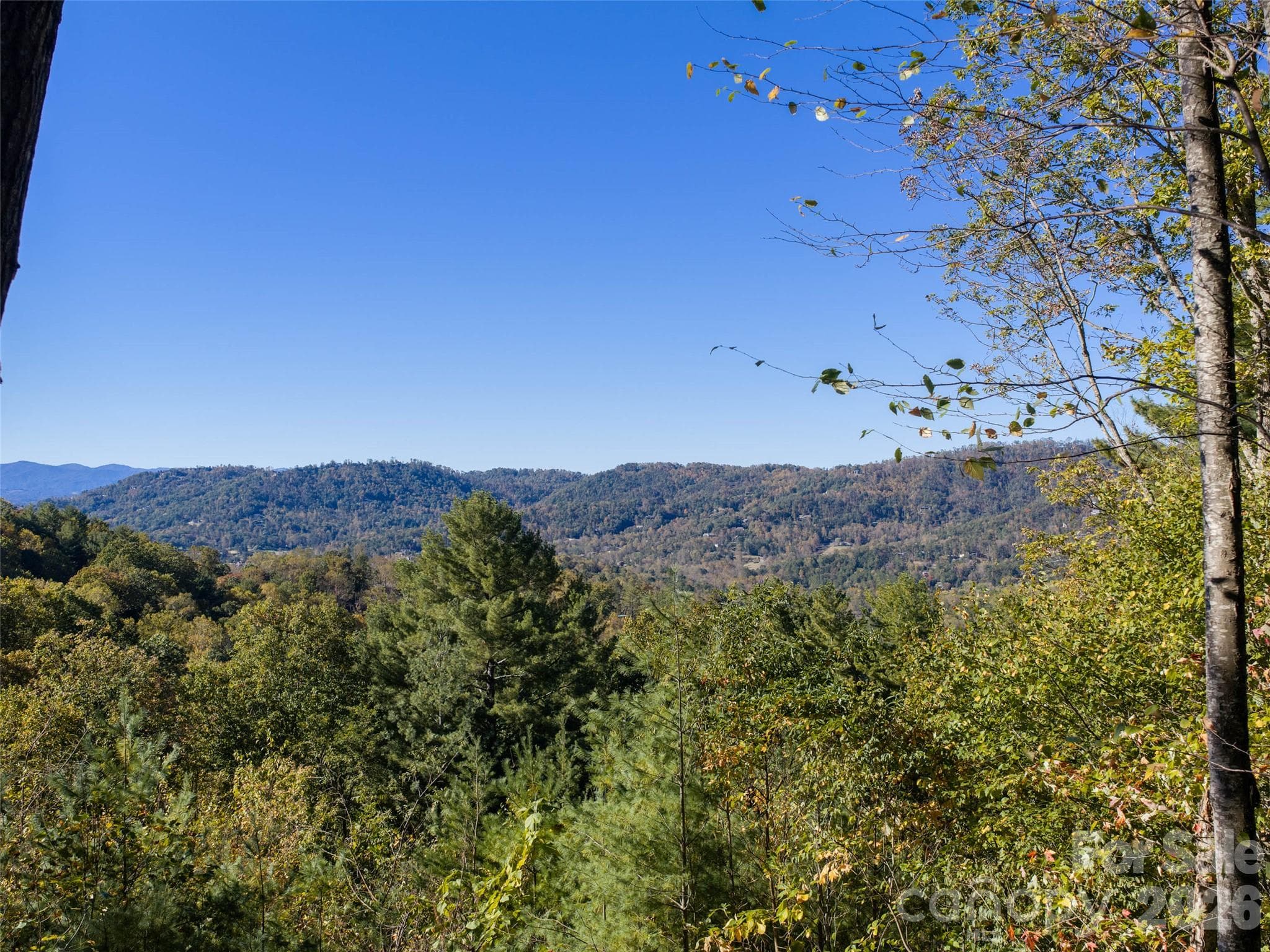 Lot at 55 Bartrams Walk Drive, Asheville, photo 28 of 33