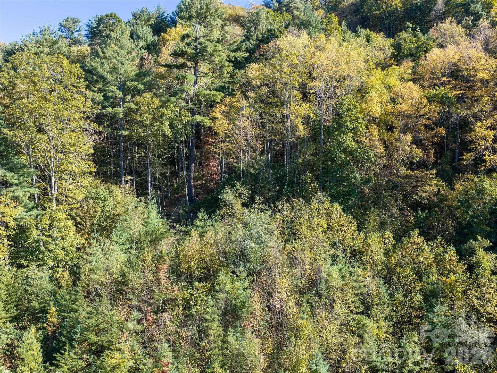 Lot at 55 Bartrams Walk Drive, Asheville, photo 31 of 33