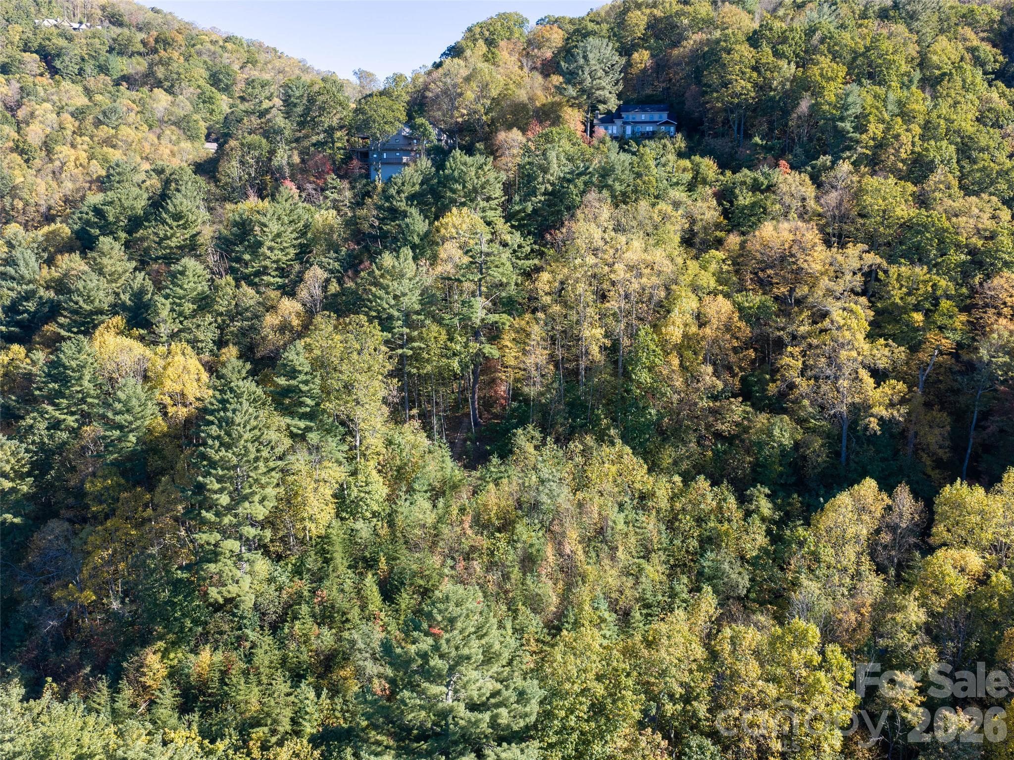 Lot at 55 Bartrams Walk Drive, Asheville, photo 32 of 33
