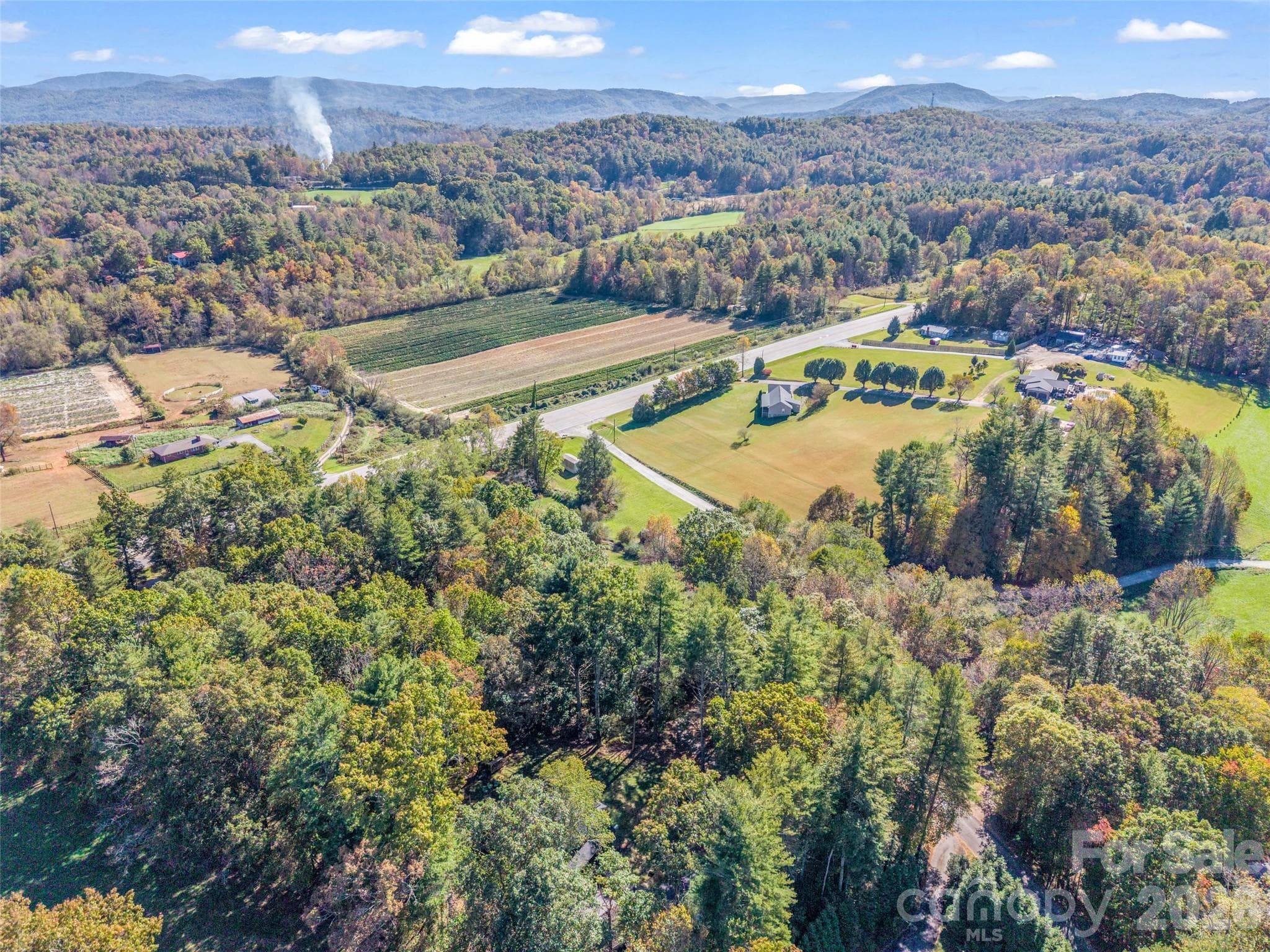 Lot at 24 Snyder Lane, Mills River, photo 26 of 38