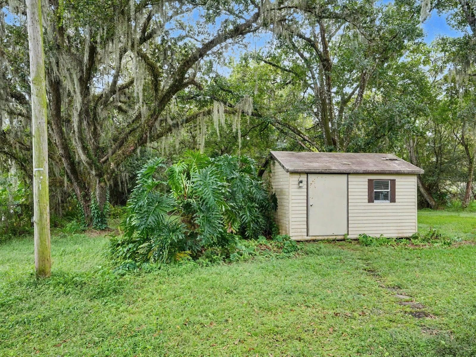 Storage shed nestled among mature oak trees with Spanish moss - 3015 STRAWBERRY LN, LAKELAND