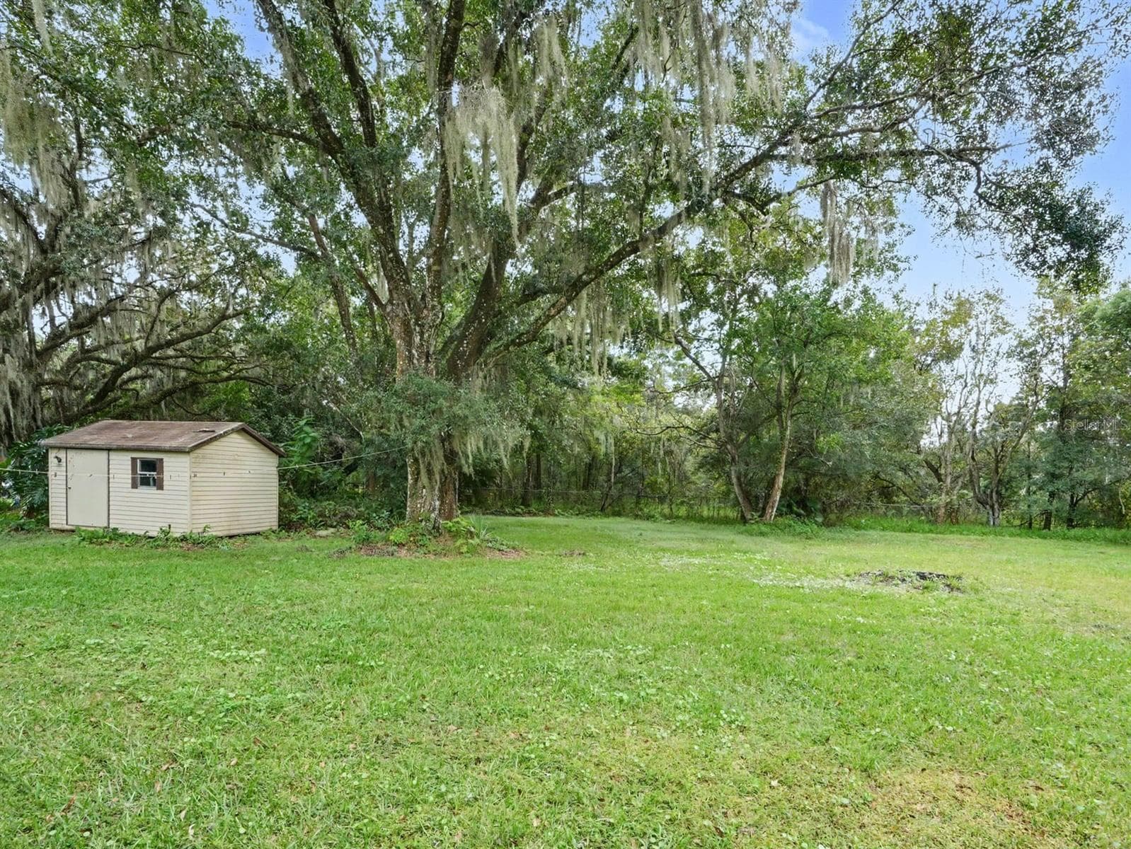 Detached storage building on expansive, shaded property - 3015 STRAWBERRY LN, LAKELAND