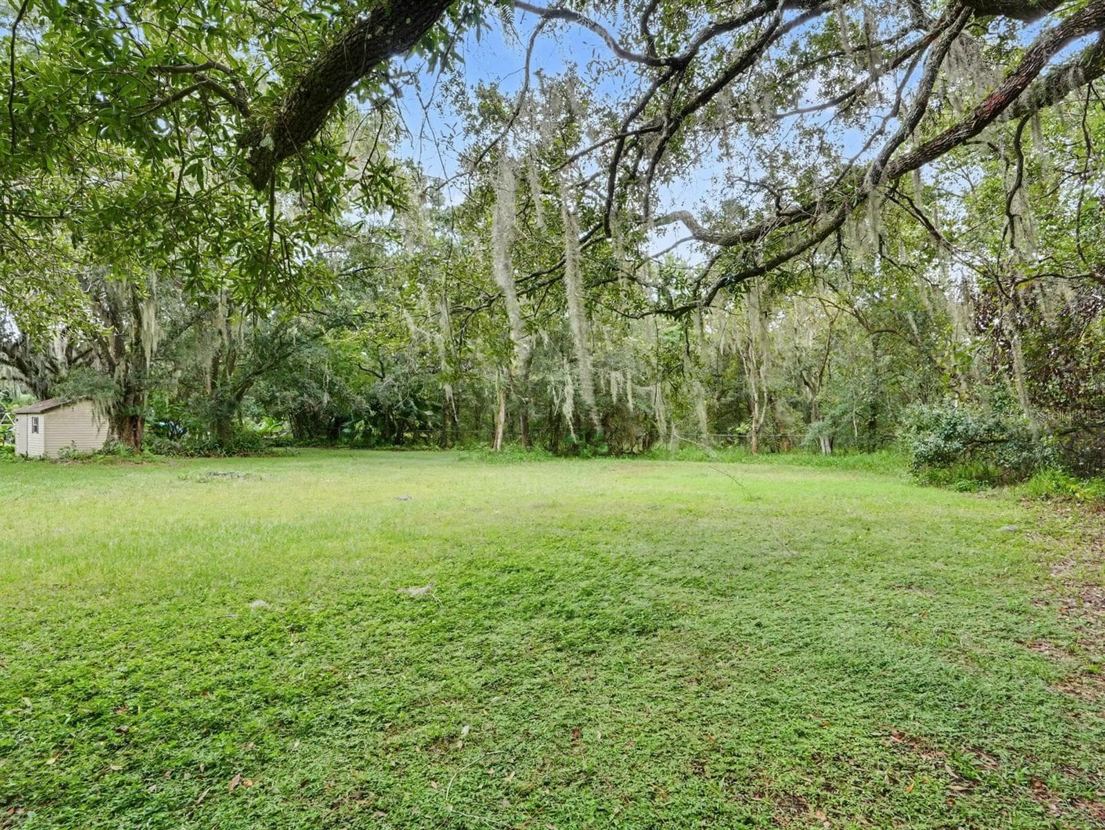 Pastoral setting with mature trees and ample open land - 3015 STRAWBERRY LN, LAKELAND