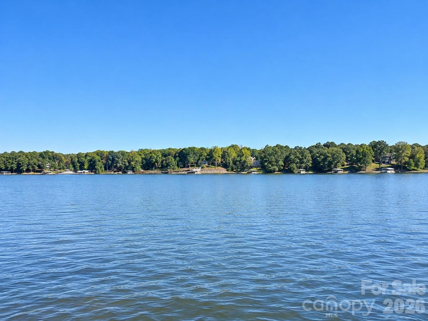 Lot at 1029 Nutall Oak Lane, Belmont, photo 2 of 9