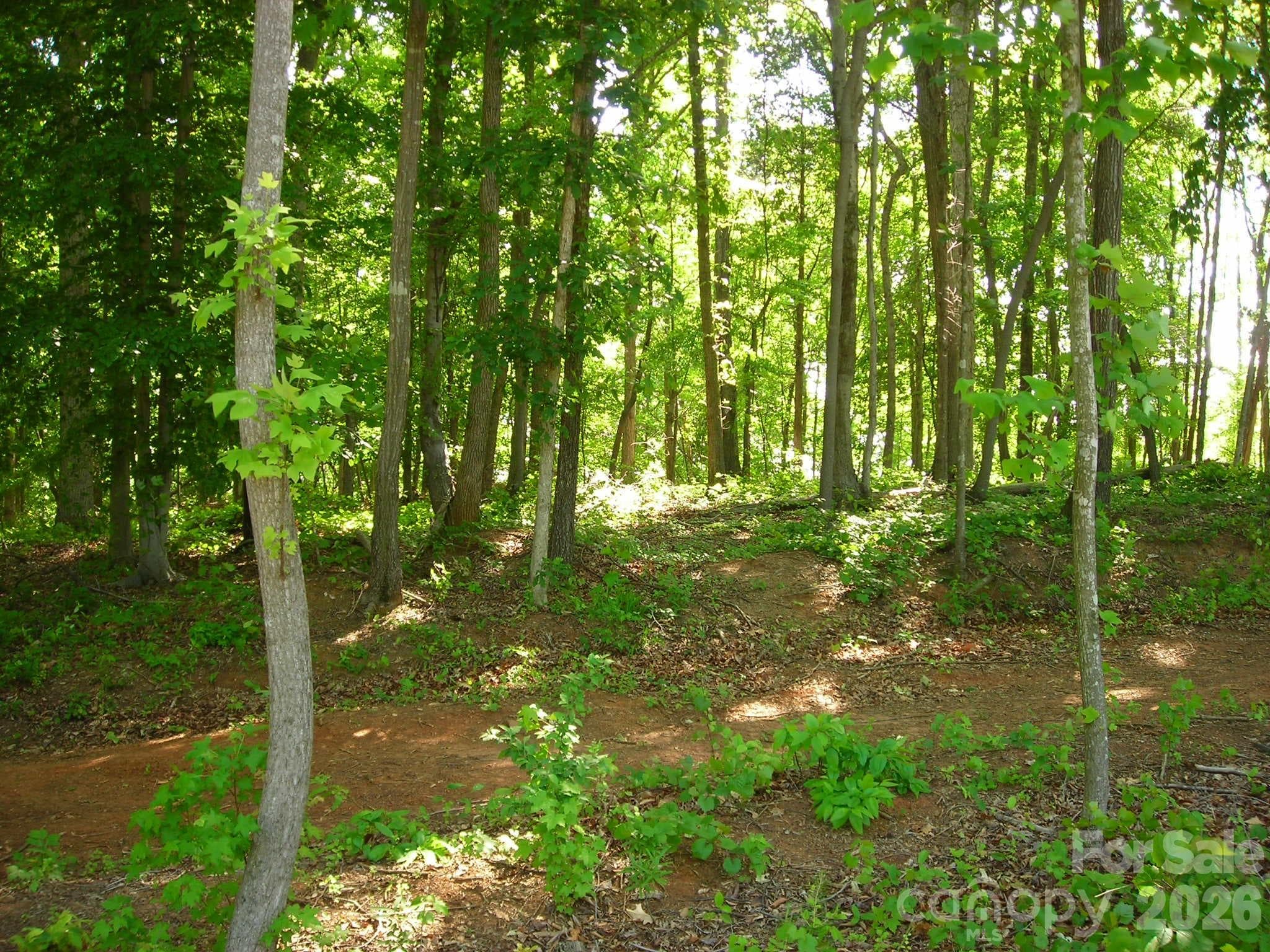 1.03-acre wooded lot offers the perfect setting to build your dream home - 1029 Nutall Oak Lane, Belmont