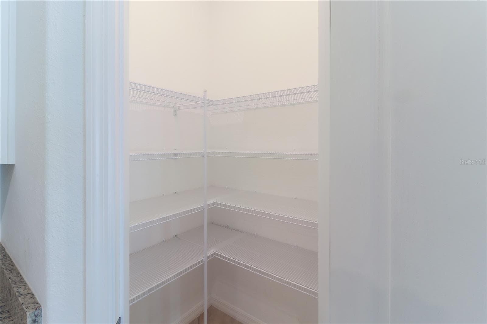 Pantry - 2501 AVOLET CT, LAKEWOOD RANCH