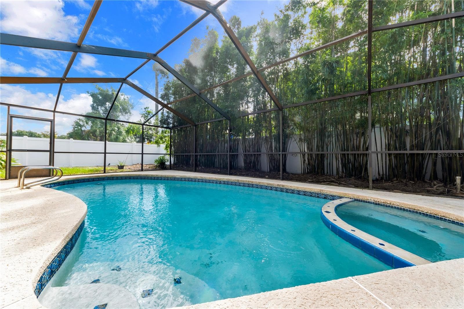 Pool and spa with screened lanai - 9602 HIDDEN OAKS CIR, TAMPA