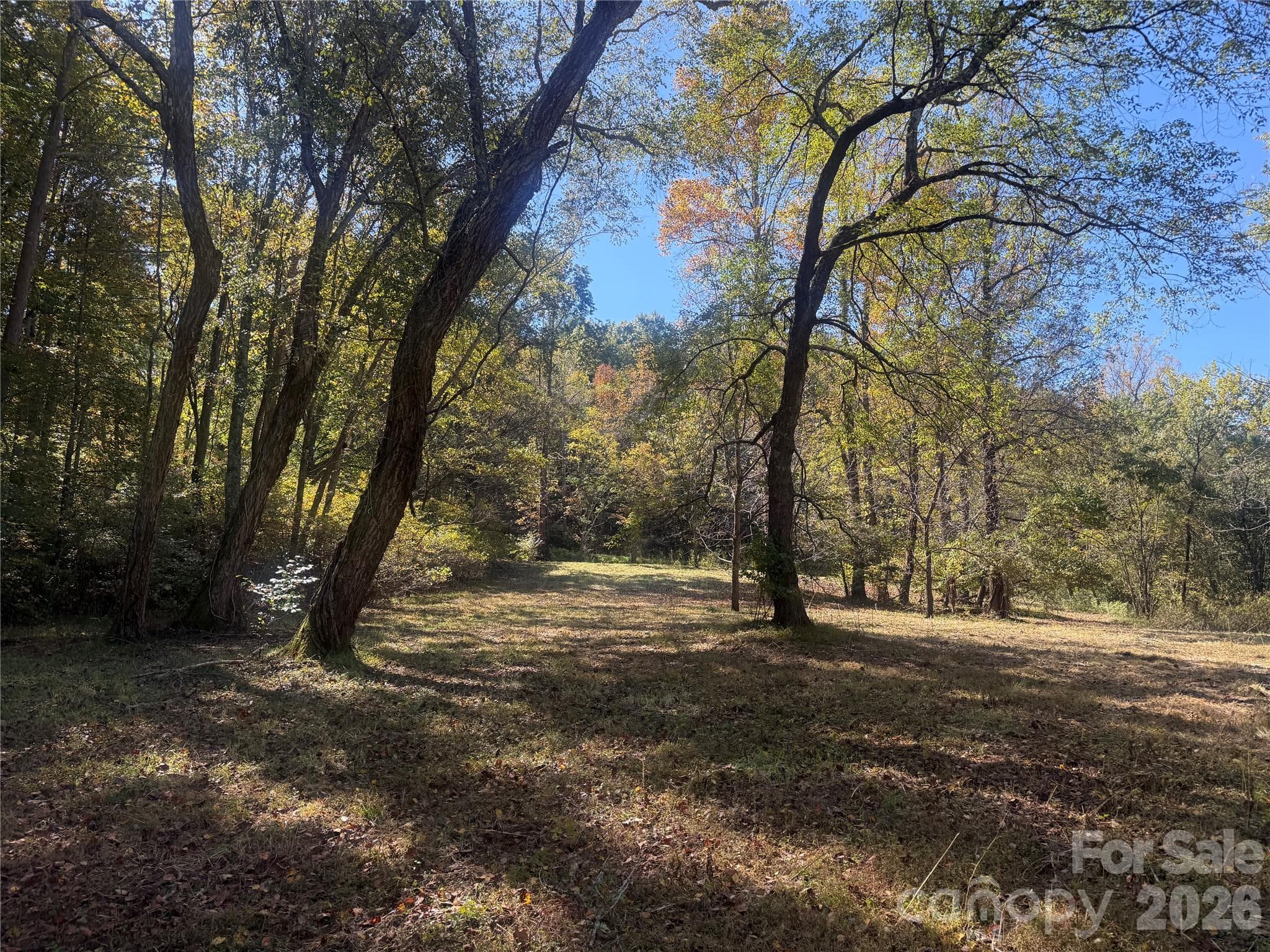 Lower portion of property from Meadows Station Dr - 00 Meadows Station Drive, Nebo
