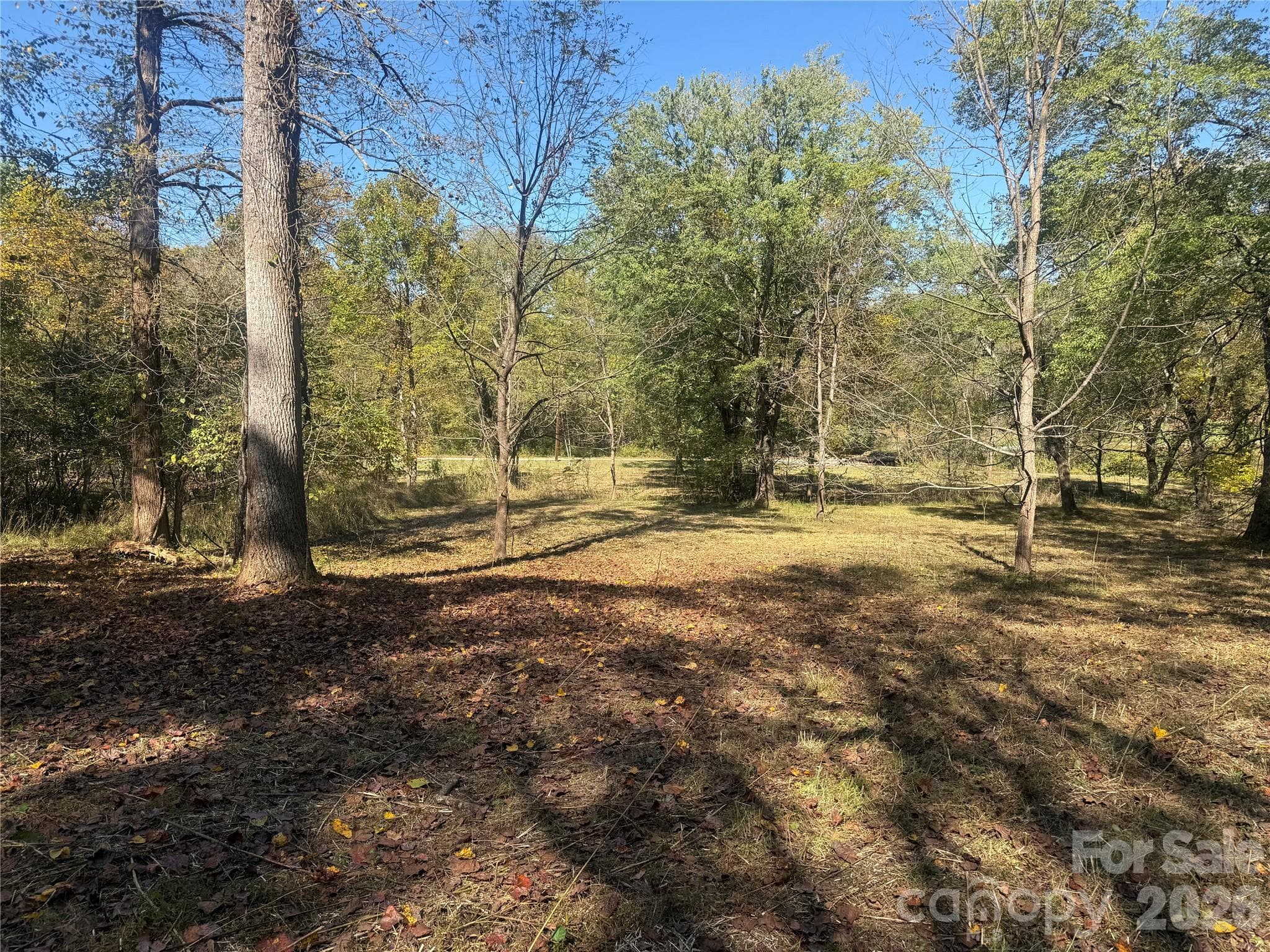 Lower portion of property from Meadows Station Dr - 00 Meadows Station Drive, Nebo