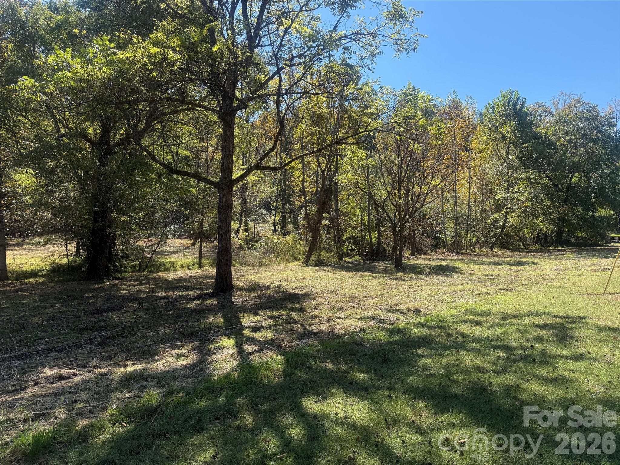 Lower portion of property from Meadows Station Dr - 00 Meadows Station Drive, Nebo