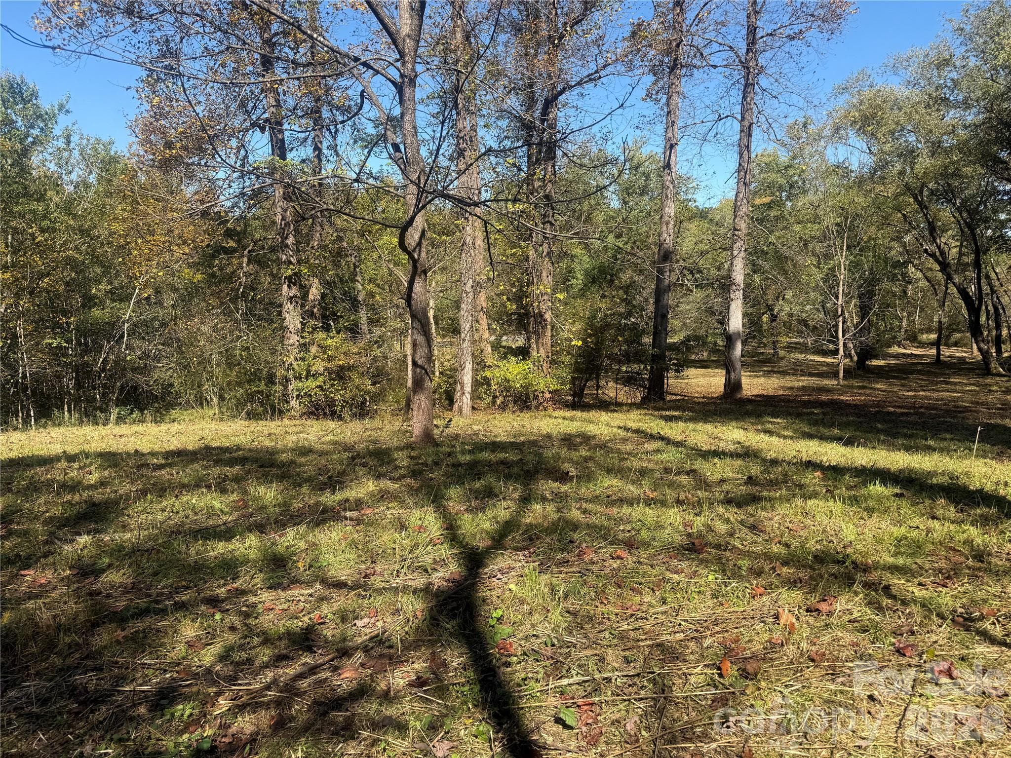 Lower portion of property from Meadows Station Dr - 00 Meadows Station Drive, Nebo