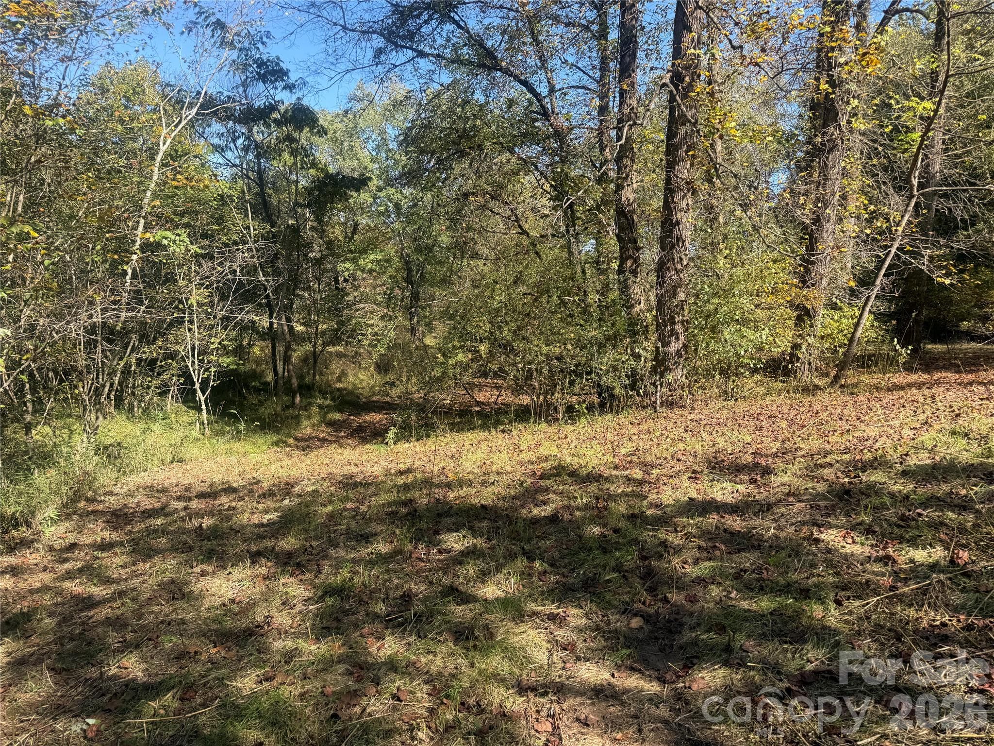 Lower portion of property from Meadows Station Dr - 00 Meadows Station Drive, Nebo