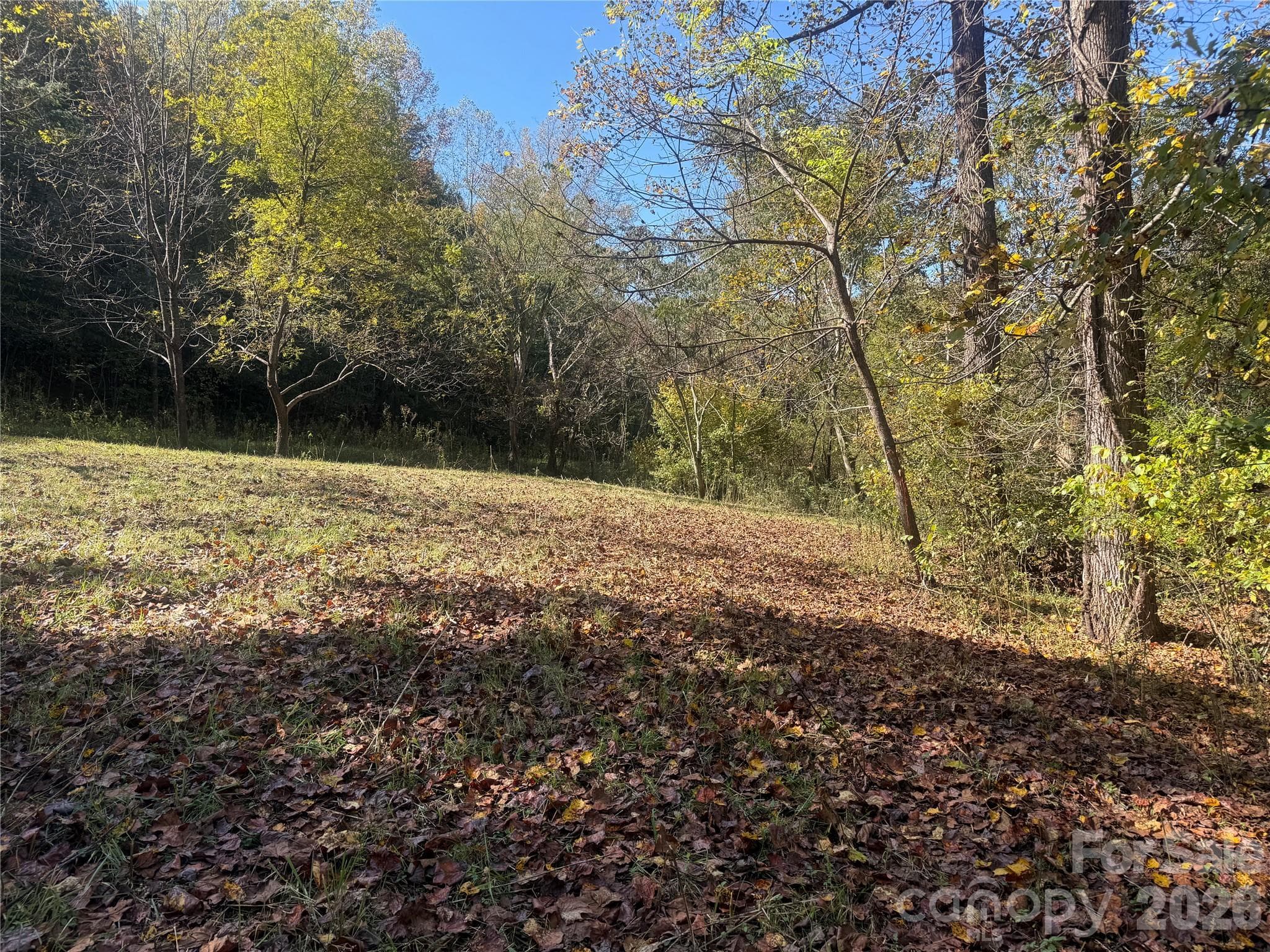 Lower portion of property from Meadows Station Dr - 00 Meadows Station Drive, Nebo