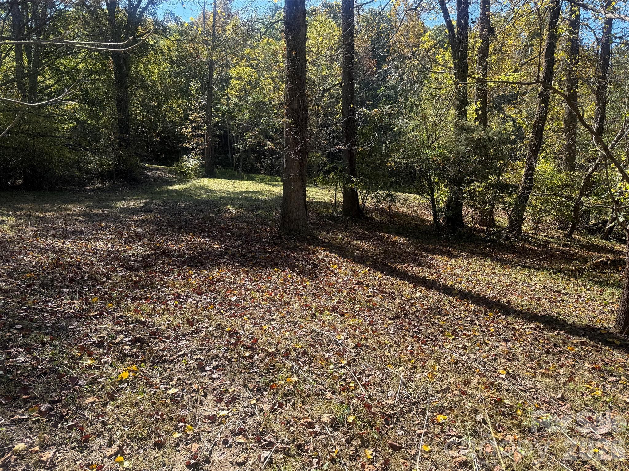 Lower portion of property from Meadows Station Dr - 00 Meadows Station Drive, Nebo