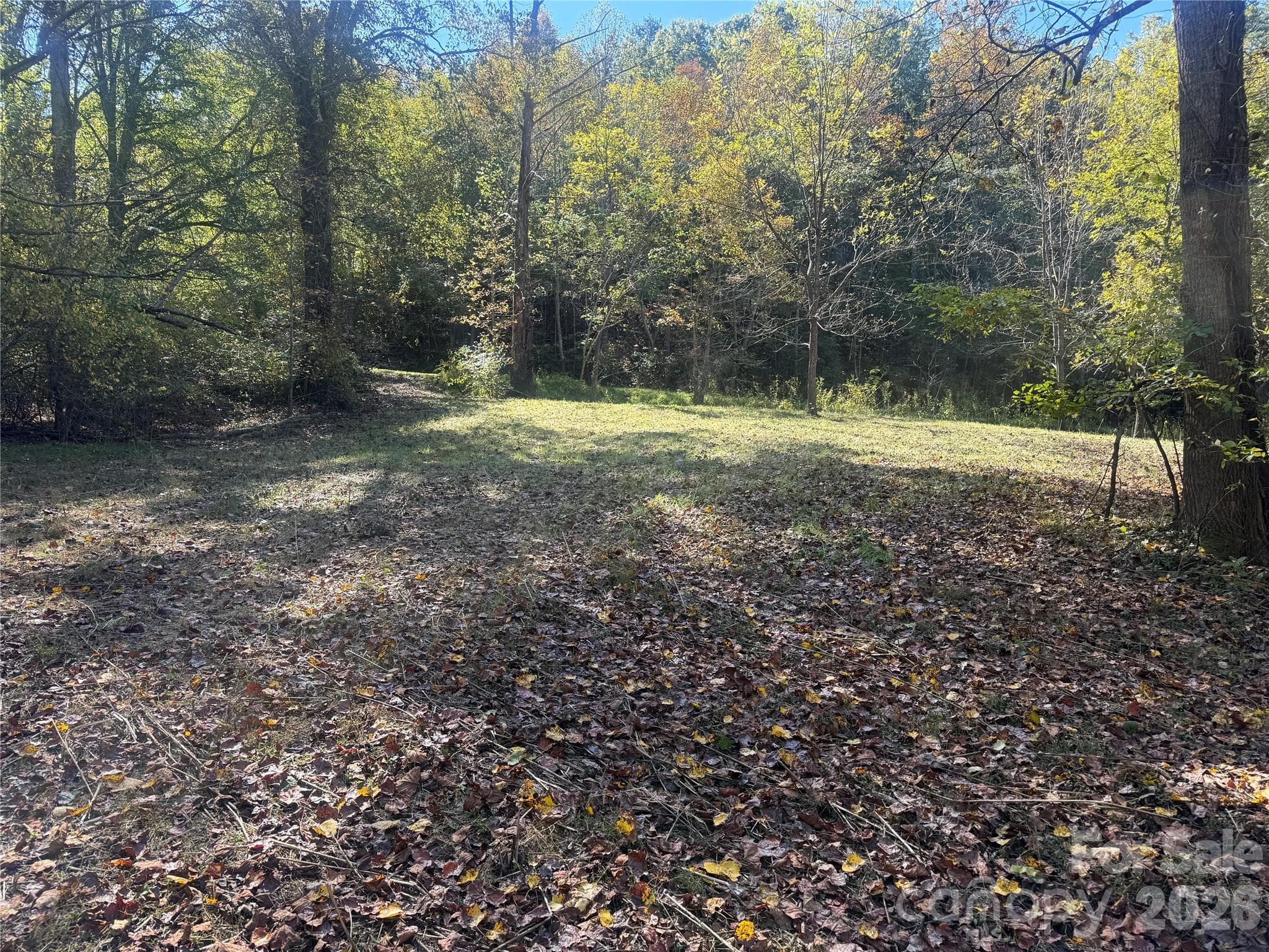 Lower portion of property from Meadows Station Dr - 00 Meadows Station Drive, Nebo