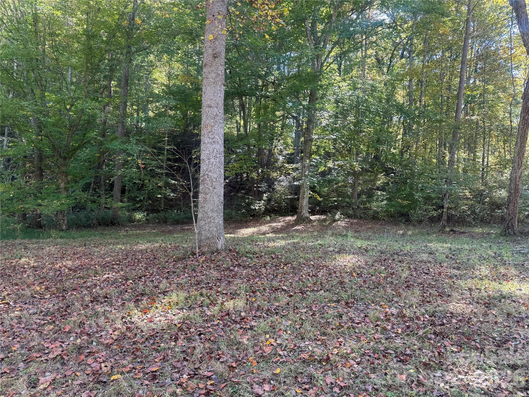 Lower portion of property from Meadows Station Dr - 00 Meadows Station Drive, Nebo
