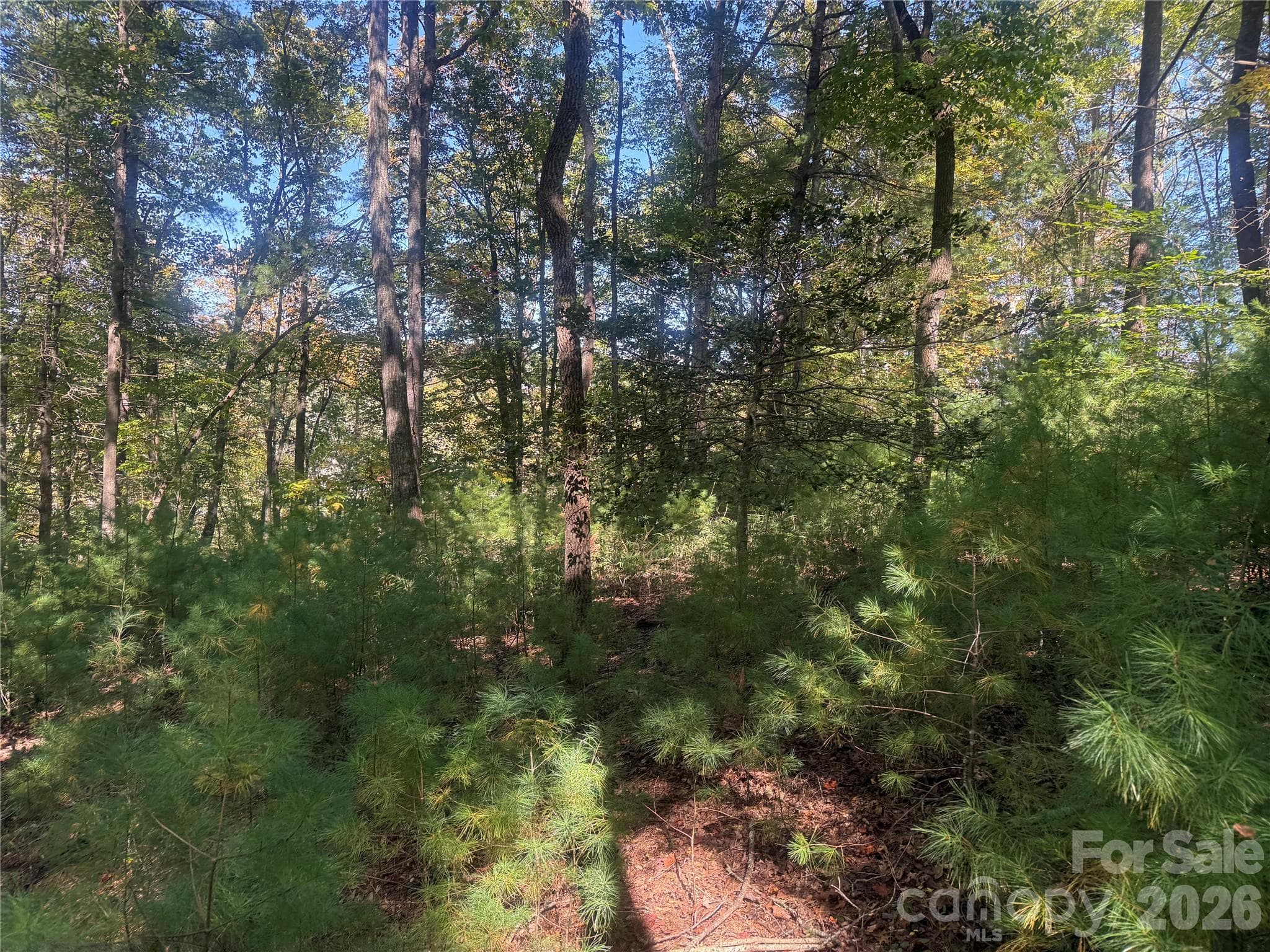 upper portion of property from Theresa Terrace - 00 Meadows Station Drive, Nebo