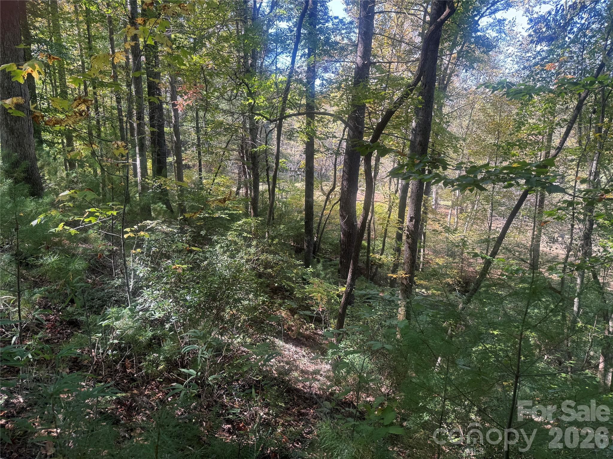 upper portion of property from Theresa Terrace - 00 Meadows Station Drive, Nebo