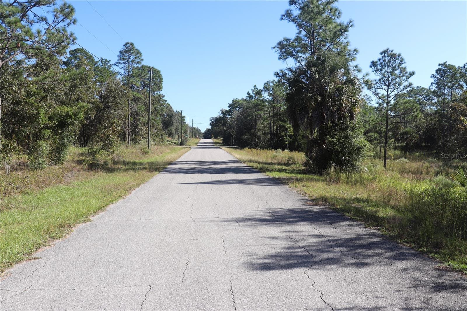 Land at 5756 W CONNETQUOT PL, DUNNELLON, photo 2 of 4