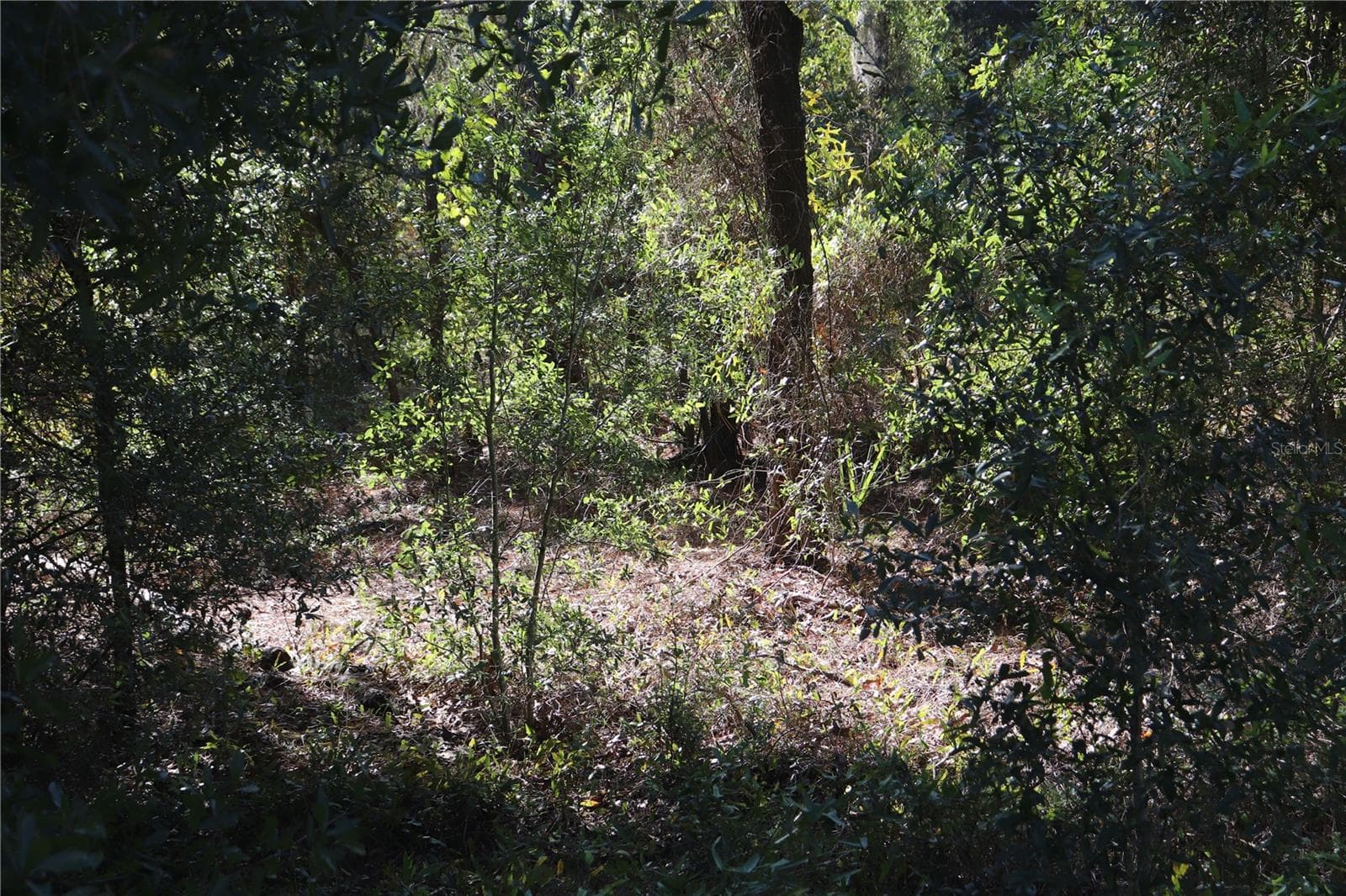 Land at 5756 W CONNETQUOT PL, DUNNELLON, photo 3 of 4