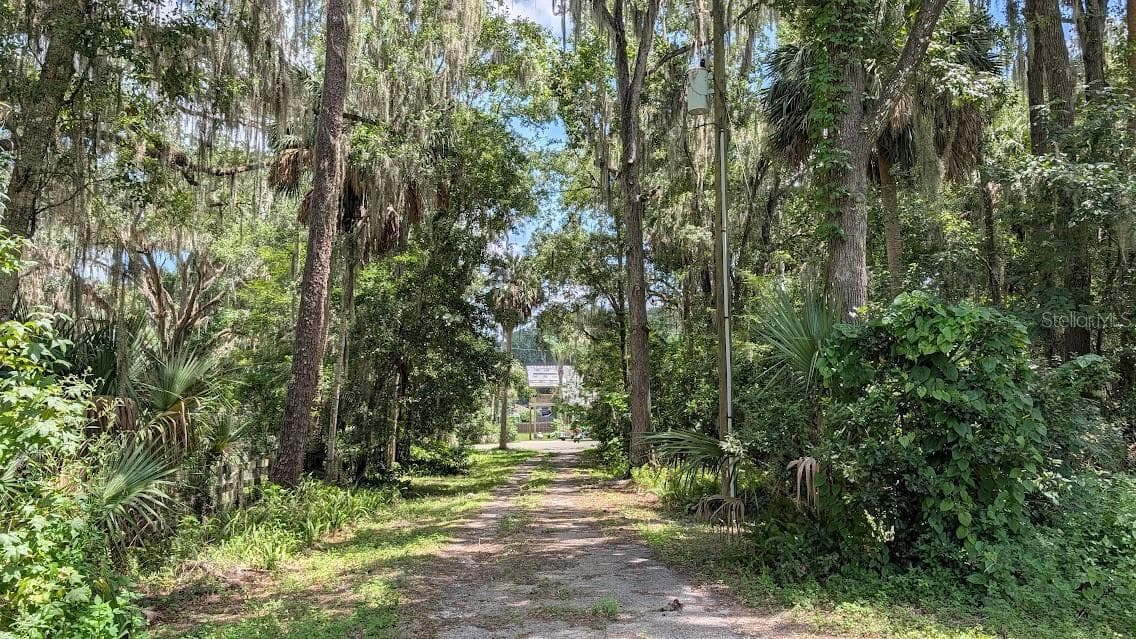 Driveway looking east back at 7 th Ave. Road - 4040 SW 7TH AVENUE RD, OCALA