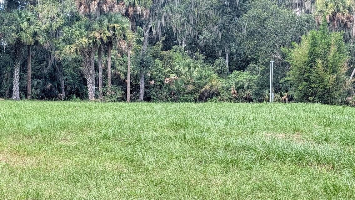 Land at 4040 SW 7TH AVENUE RD, OCALA, photo 6 of 11