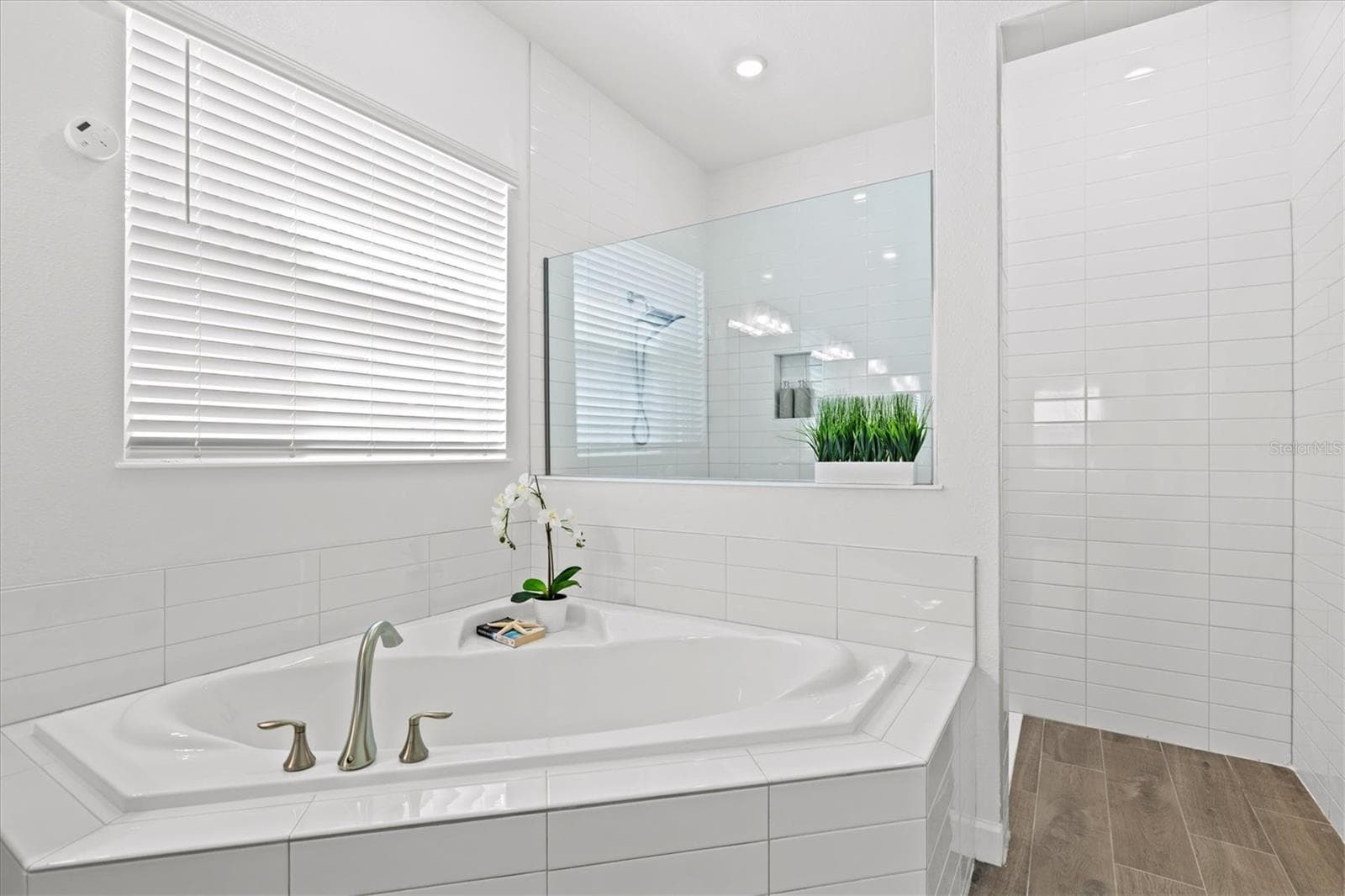 Single Family Residence at 17216 SCUBA CREST ST, WIMAUMA, photo 16 of 98