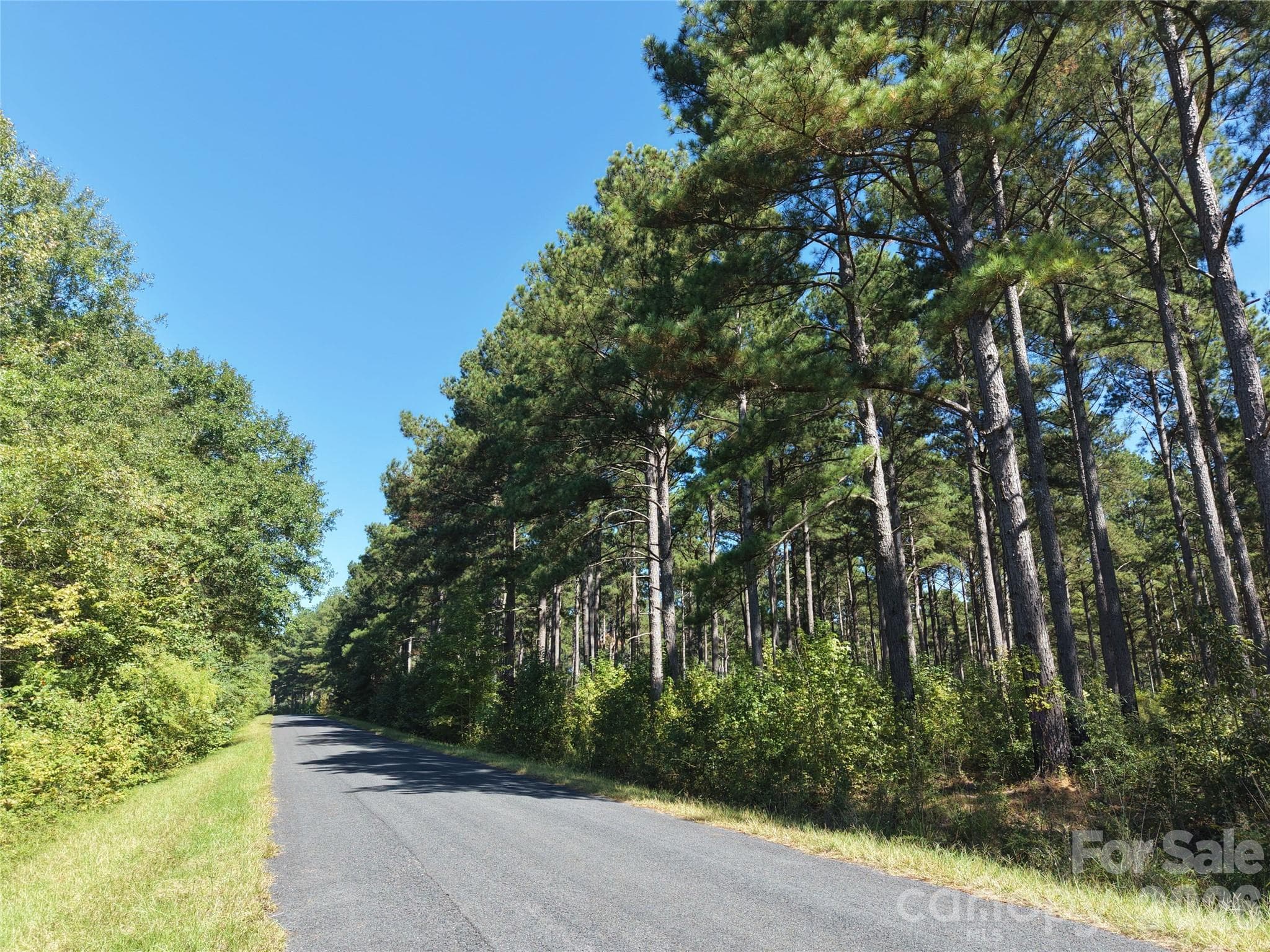 Farm at 393 Red Hill Road, Wadesboro, photo 7 of 48