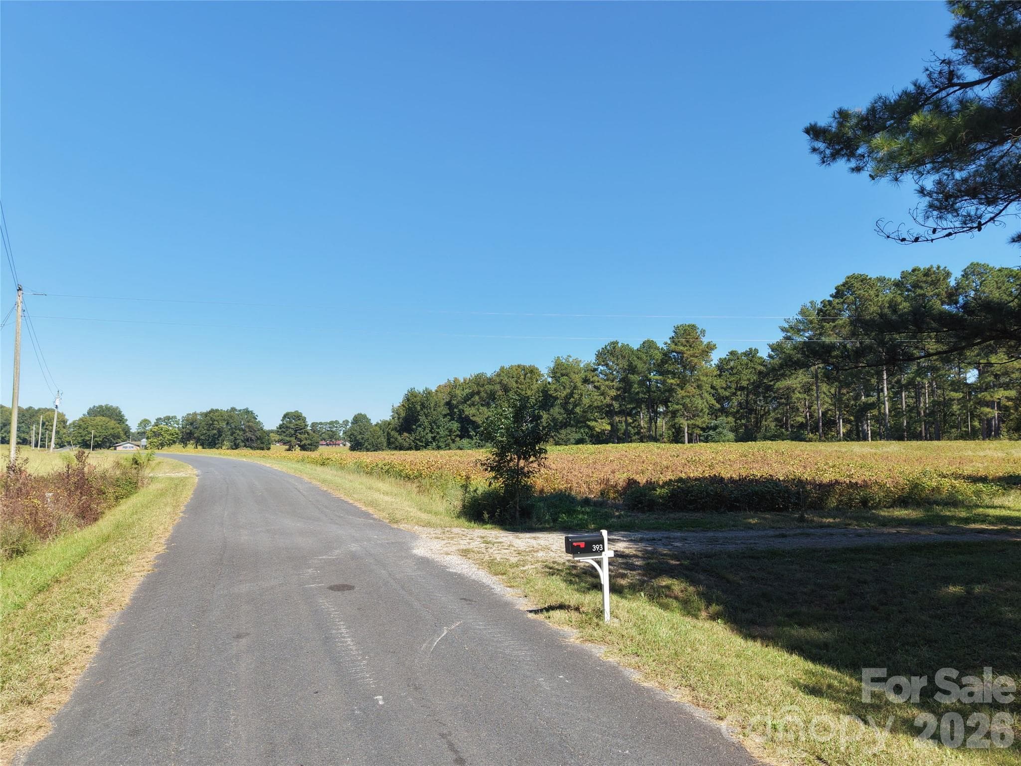 Farm at 393 Red Hill Road, Wadesboro, photo 8 of 48