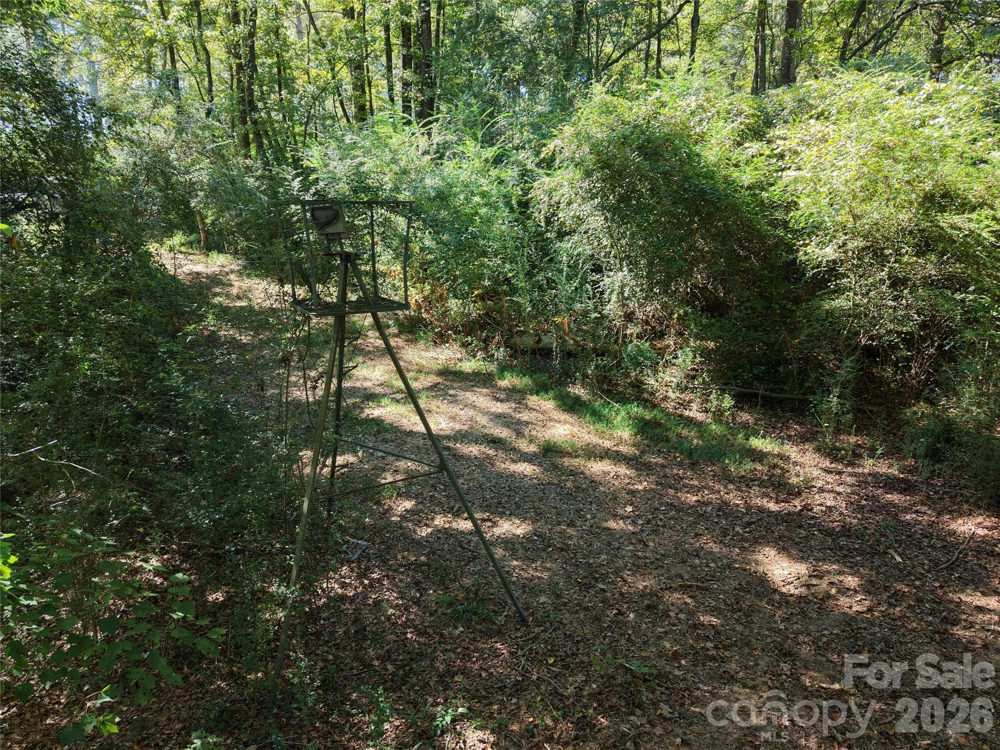 Farm at 393 Red Hill Road, Wadesboro, photo 29 of 48