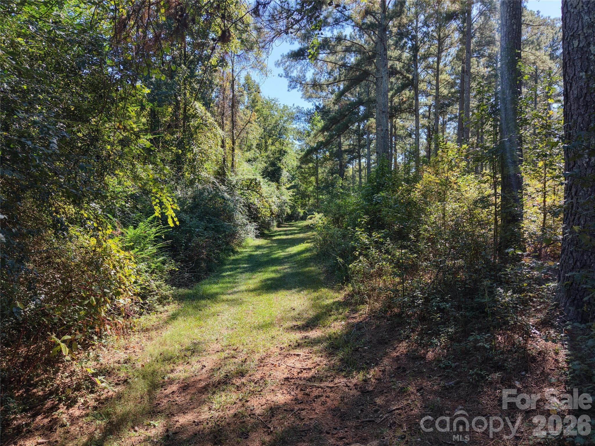 Farm at 393 Red Hill Road, Wadesboro, photo 30 of 48