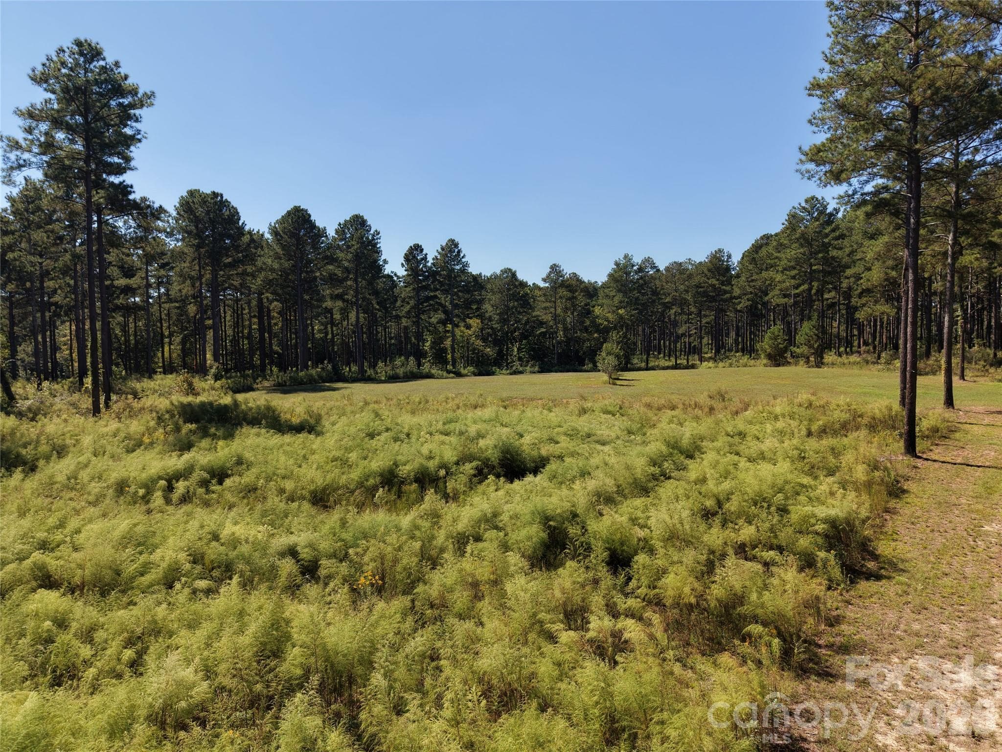 Farm at 393 Red Hill Road, Wadesboro, photo 32 of 48