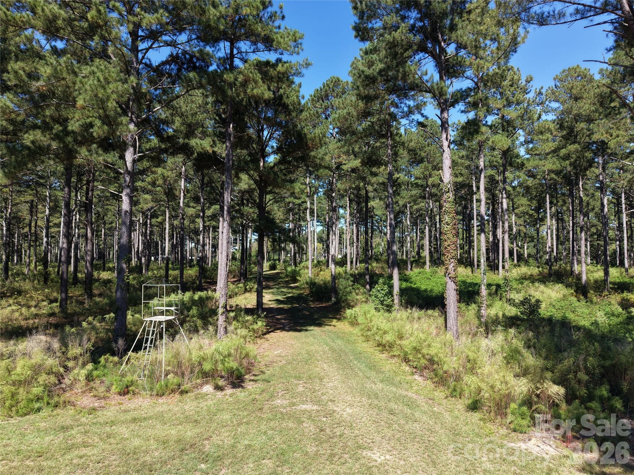Farm at 393 Red Hill Road, Wadesboro, photo 34 of 48